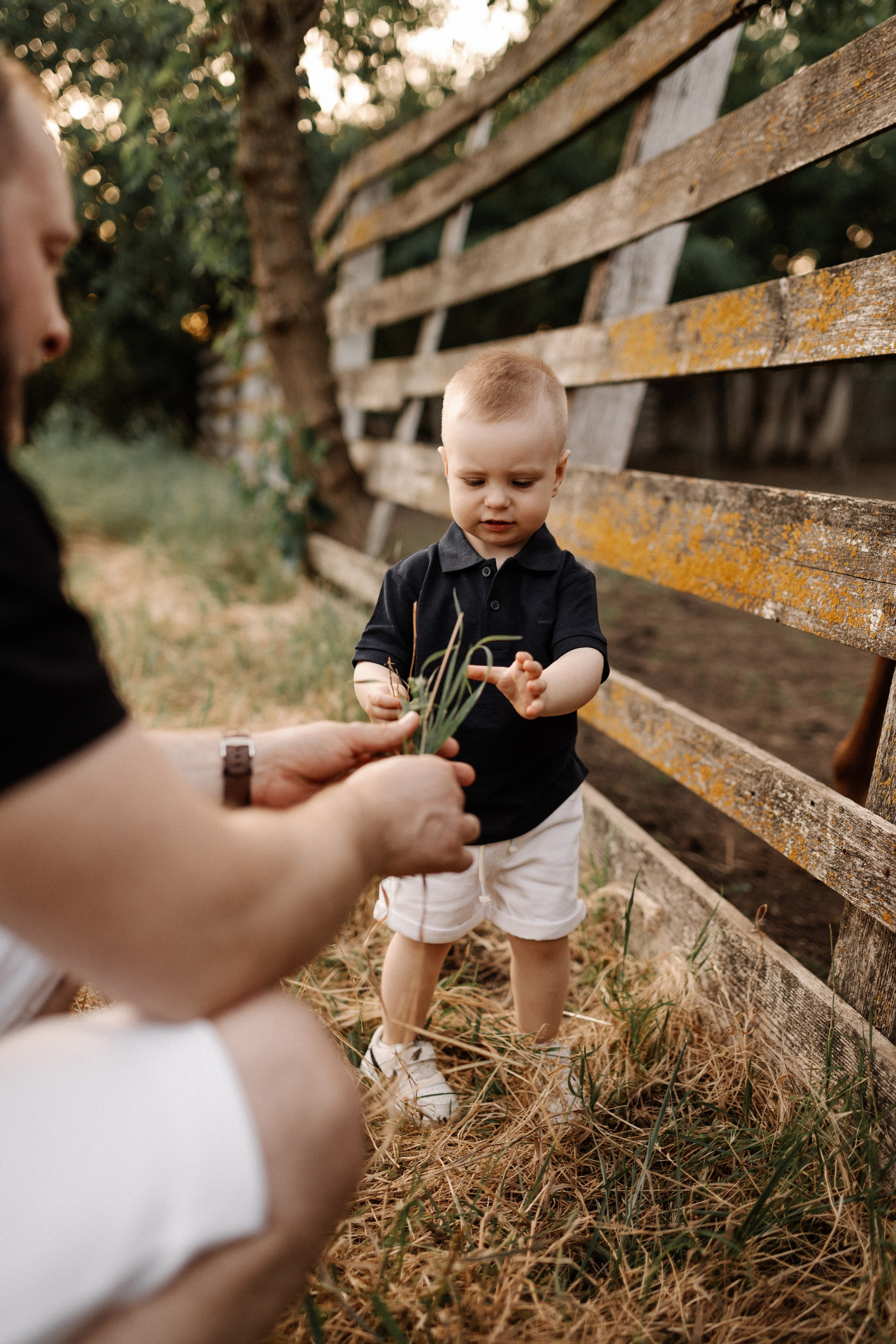Лена, Кирилл и Арсений. Семейный фотограф в Краснодаре Виктория Кокоулина