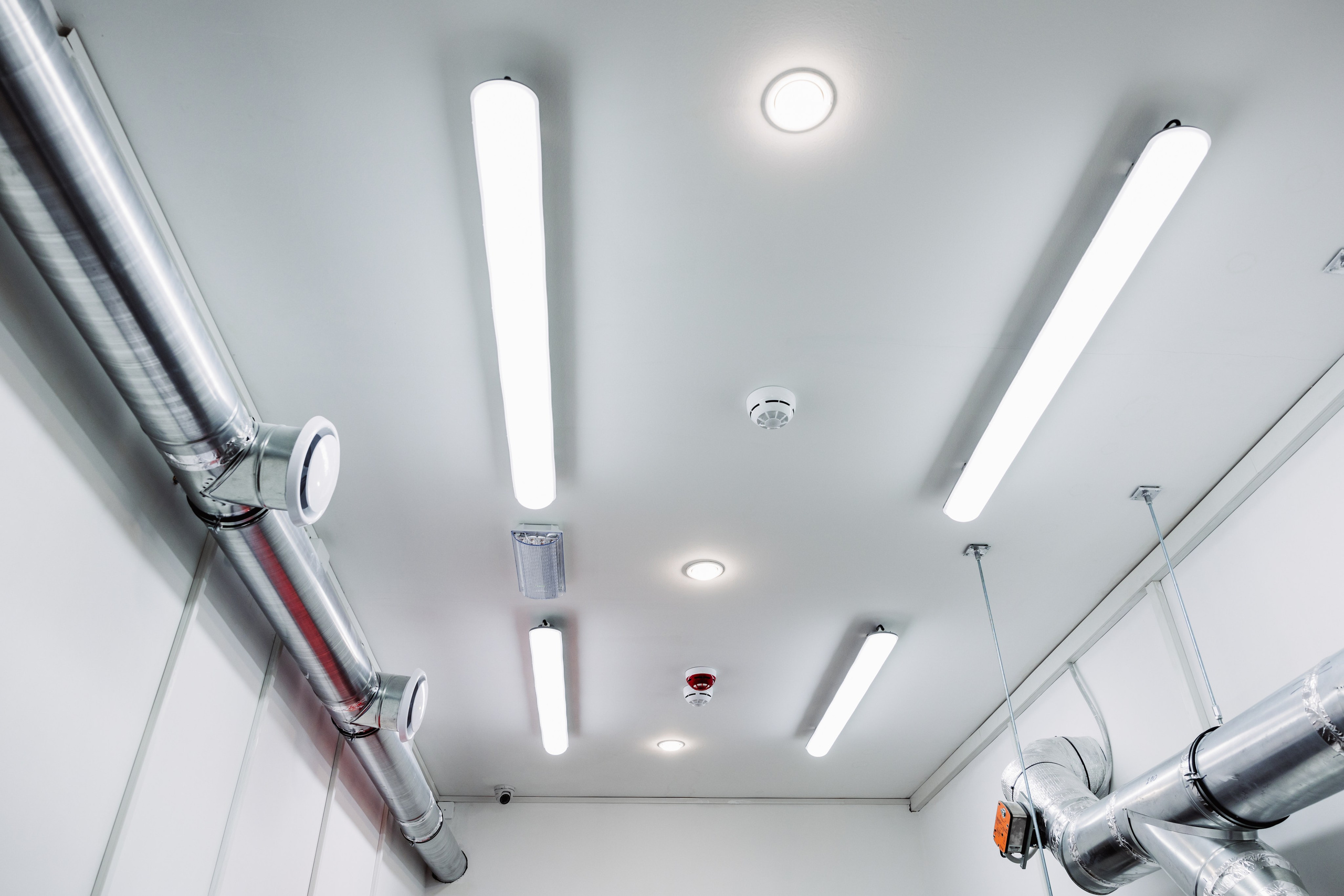 ЧЕБ И РЕК | РИО. ФОТОГРАФ ИРИНА ШАМАТАВА