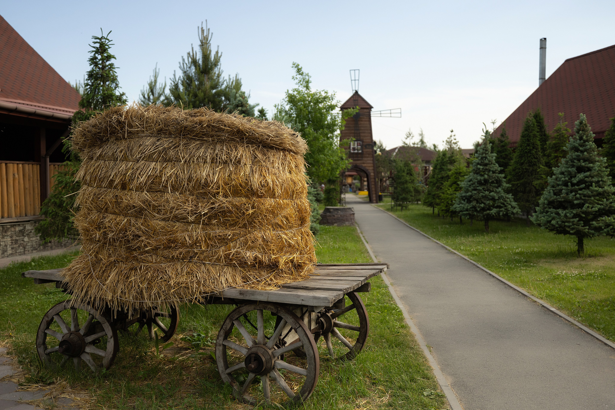 Суворовские бани