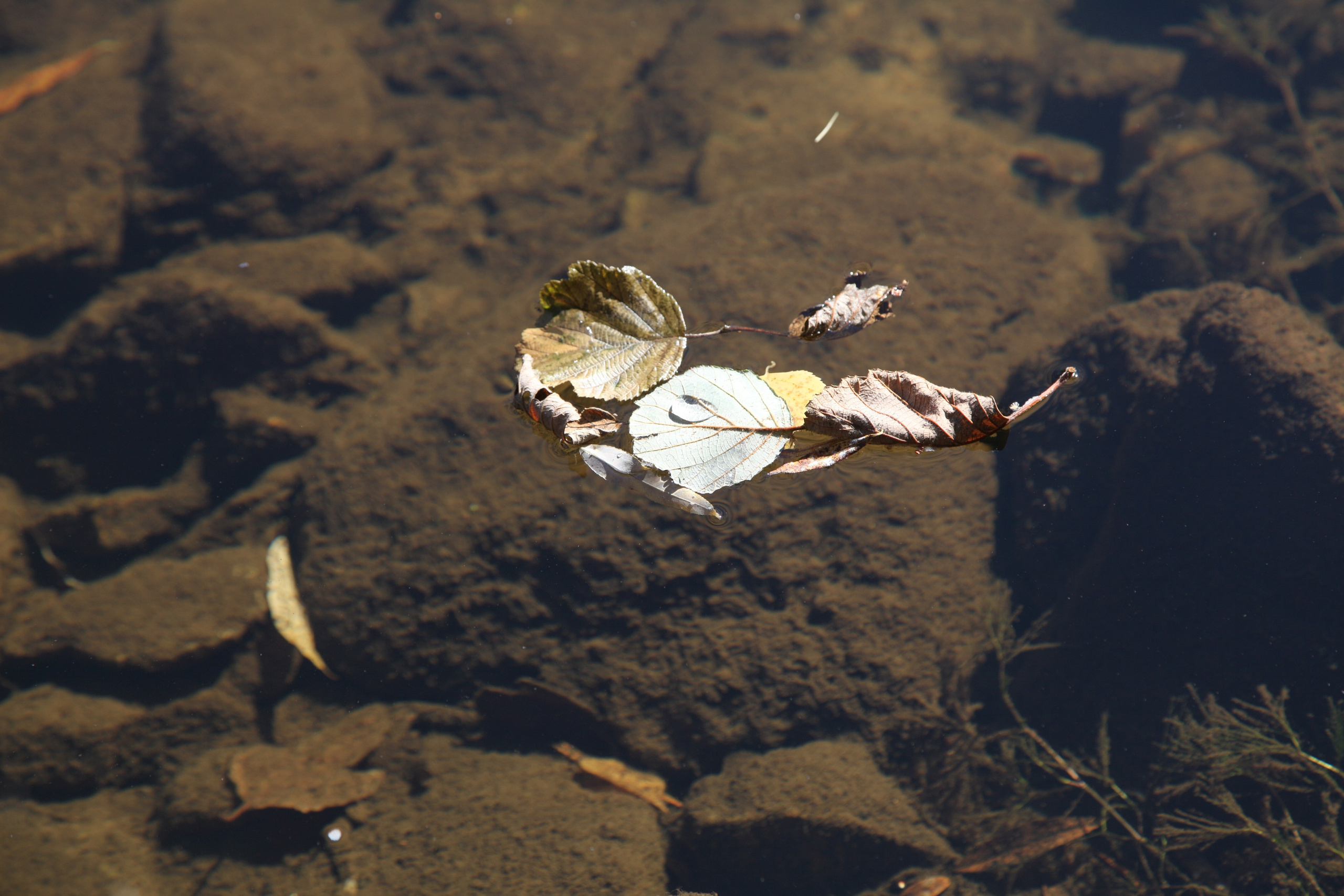 Фото Природы Забайкалья. Студия Максима Белослюдцева
