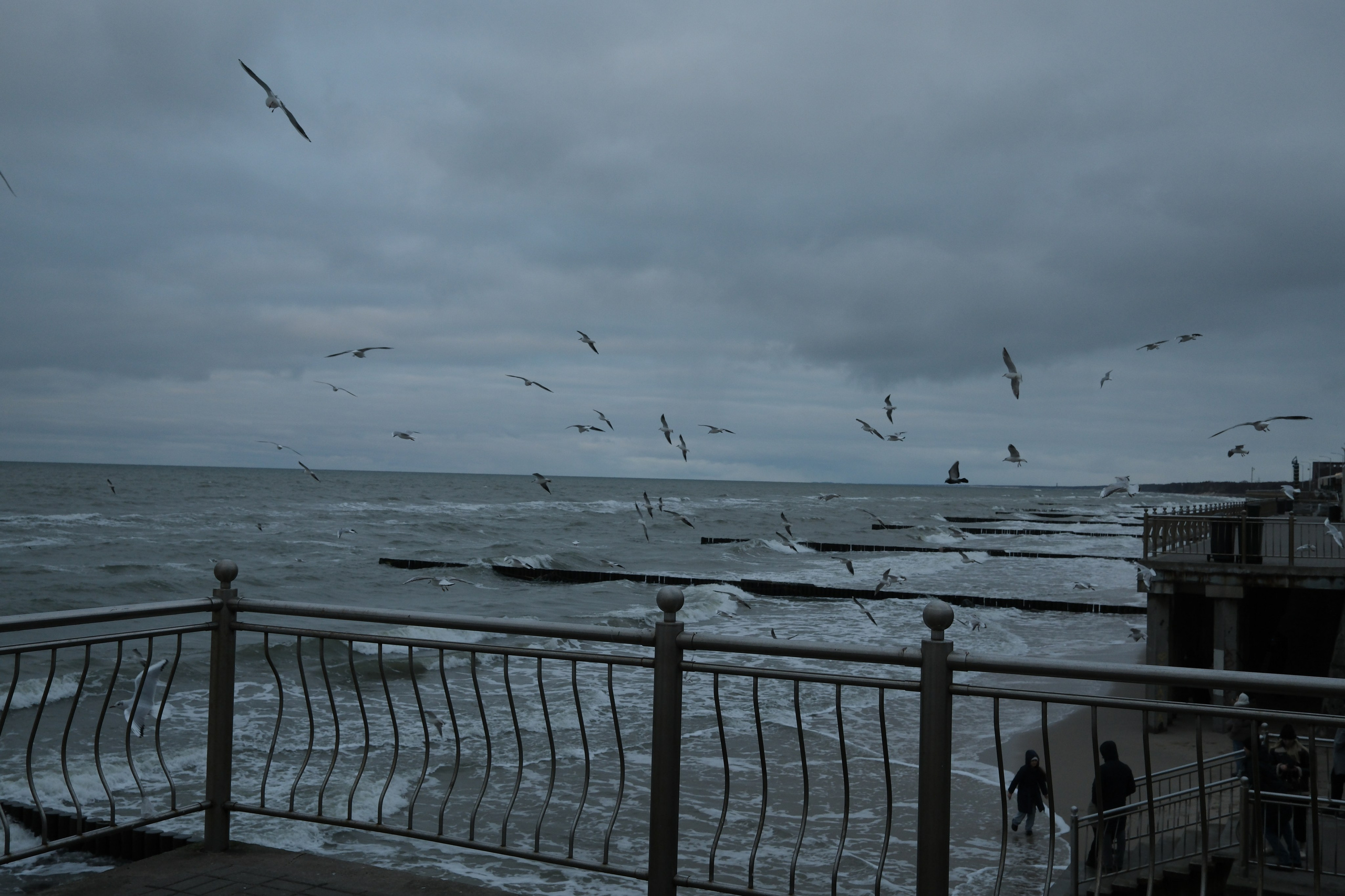 Зеленоградск. Калининградская область. Алексей Торопов фотограф