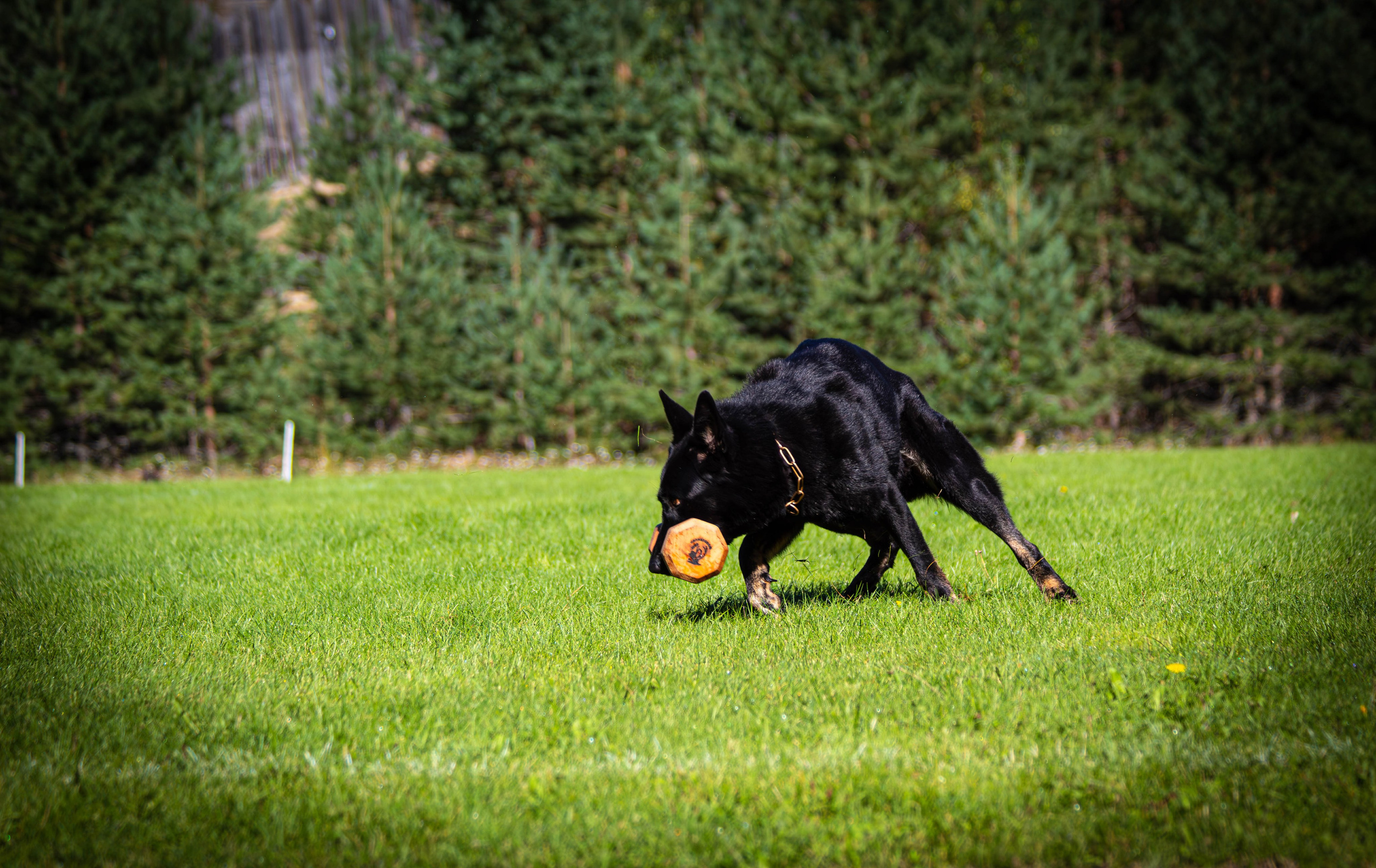 Репортажная съёмка спортивных мероприятий Москва 