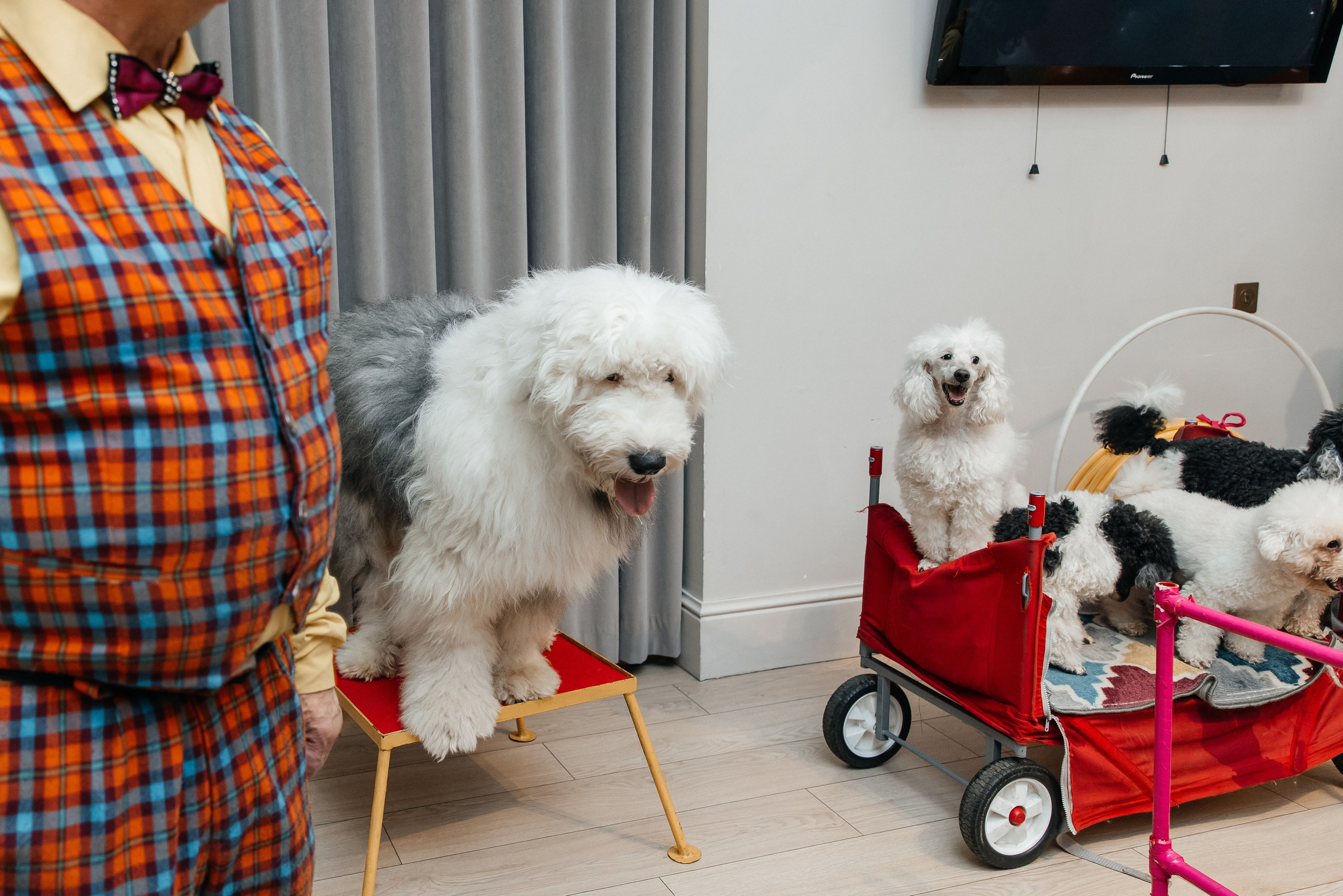 Даниил 4 года. Фотограф Москва Шептаев Артём