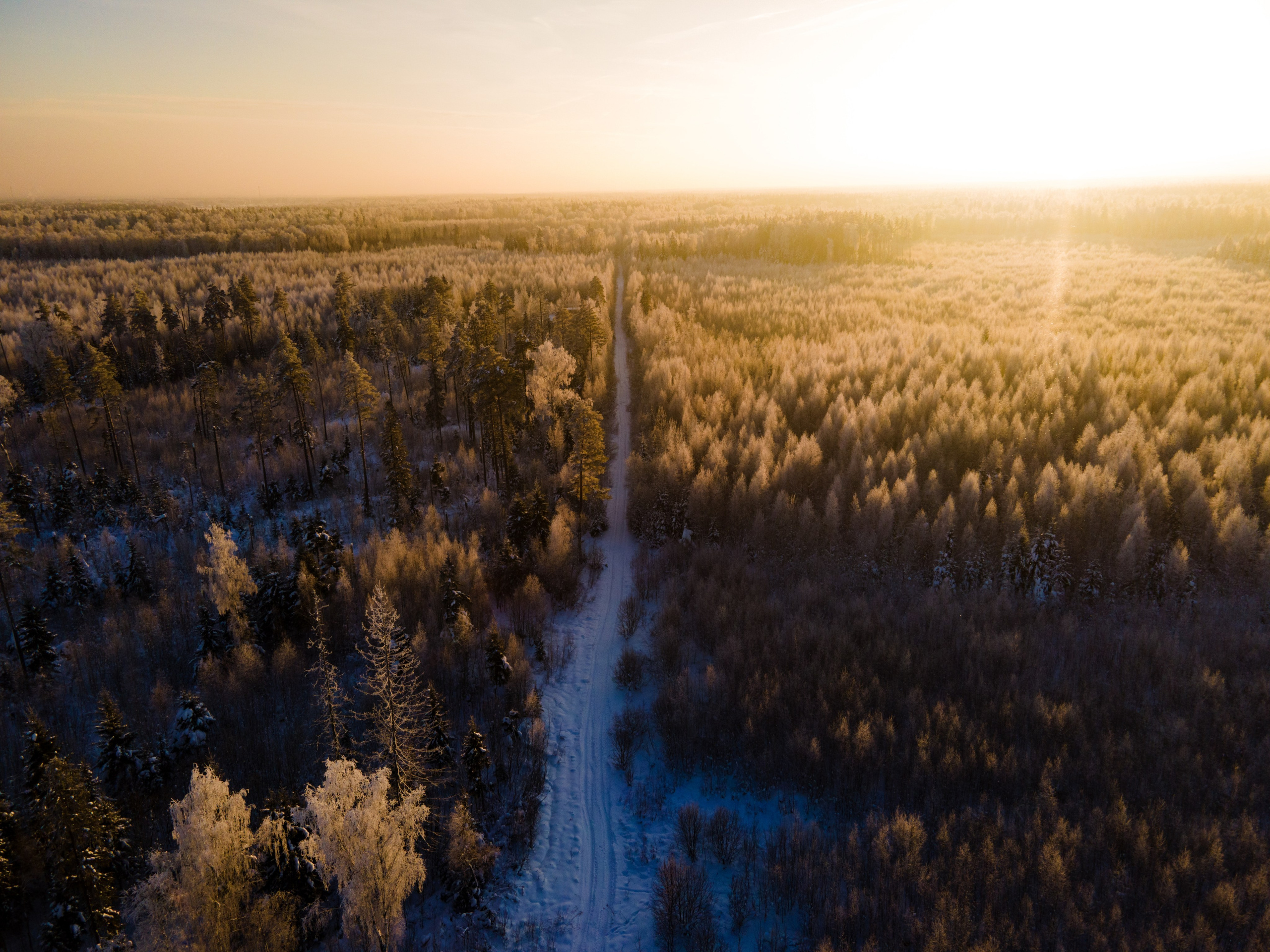 Drone. Фотограф Москва и Область