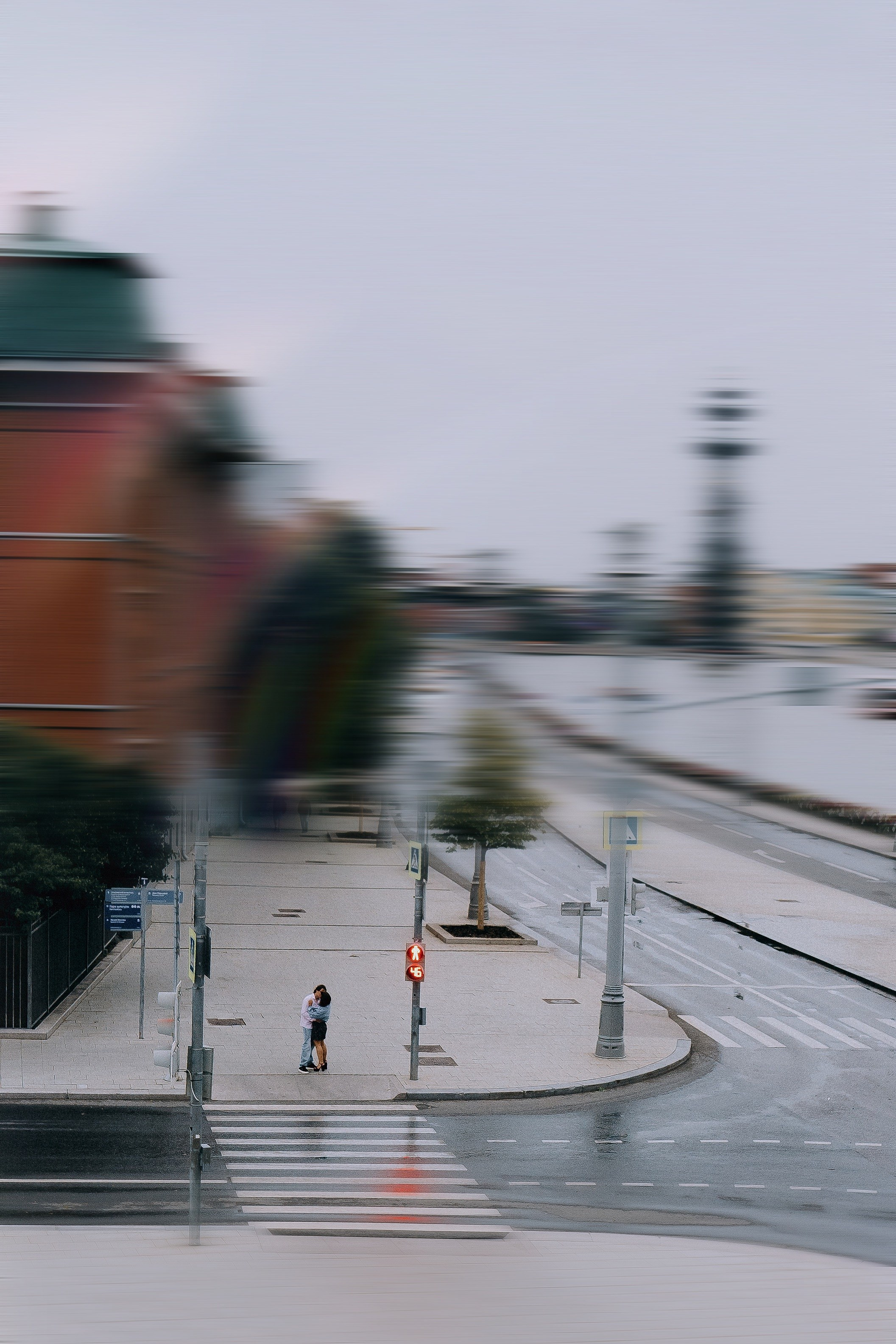 Любовь зарядила. Андрейко Надежда