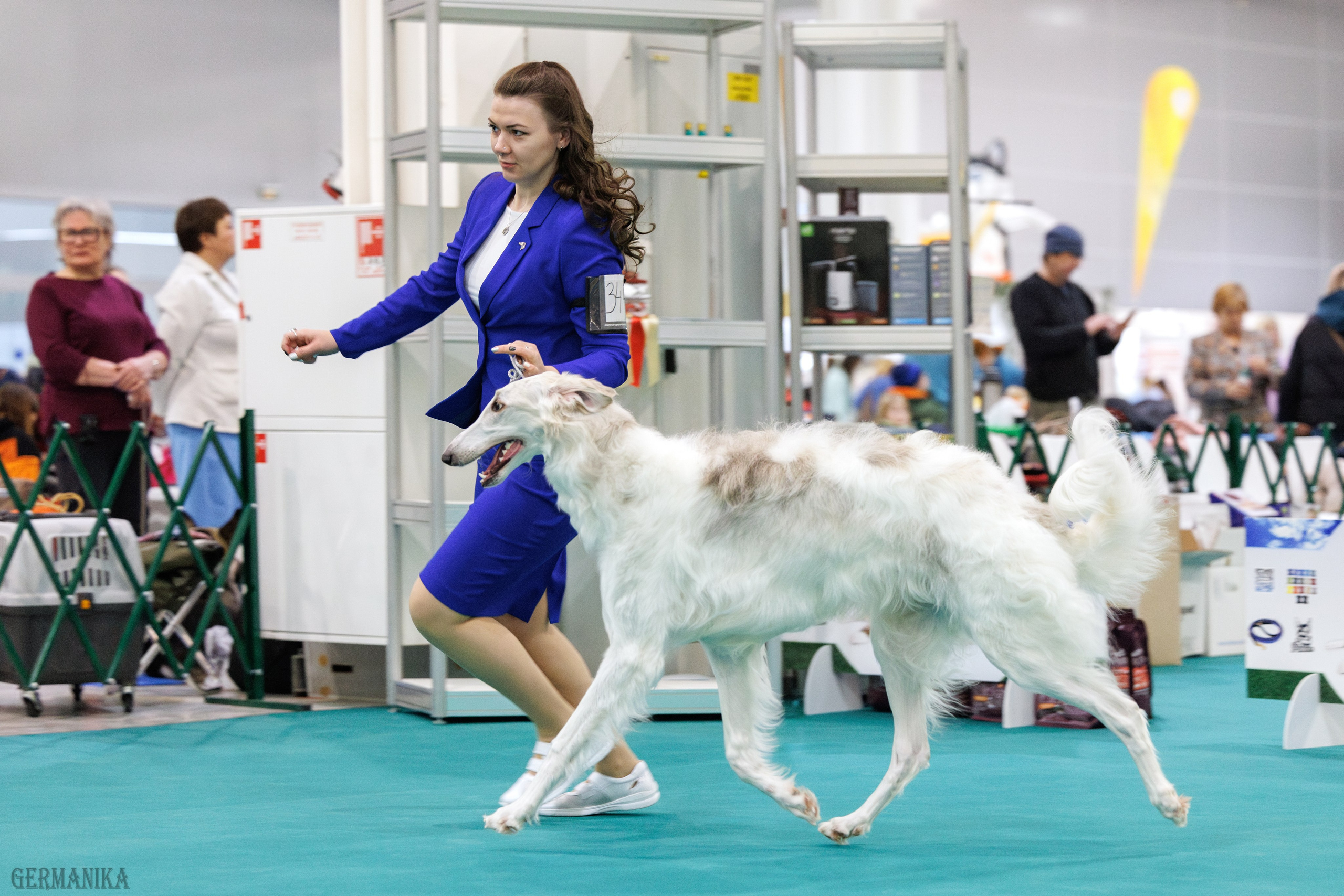 Крокус 10.02,Сфера 11.02.2024. Фотограф-анималист Юлия Германика