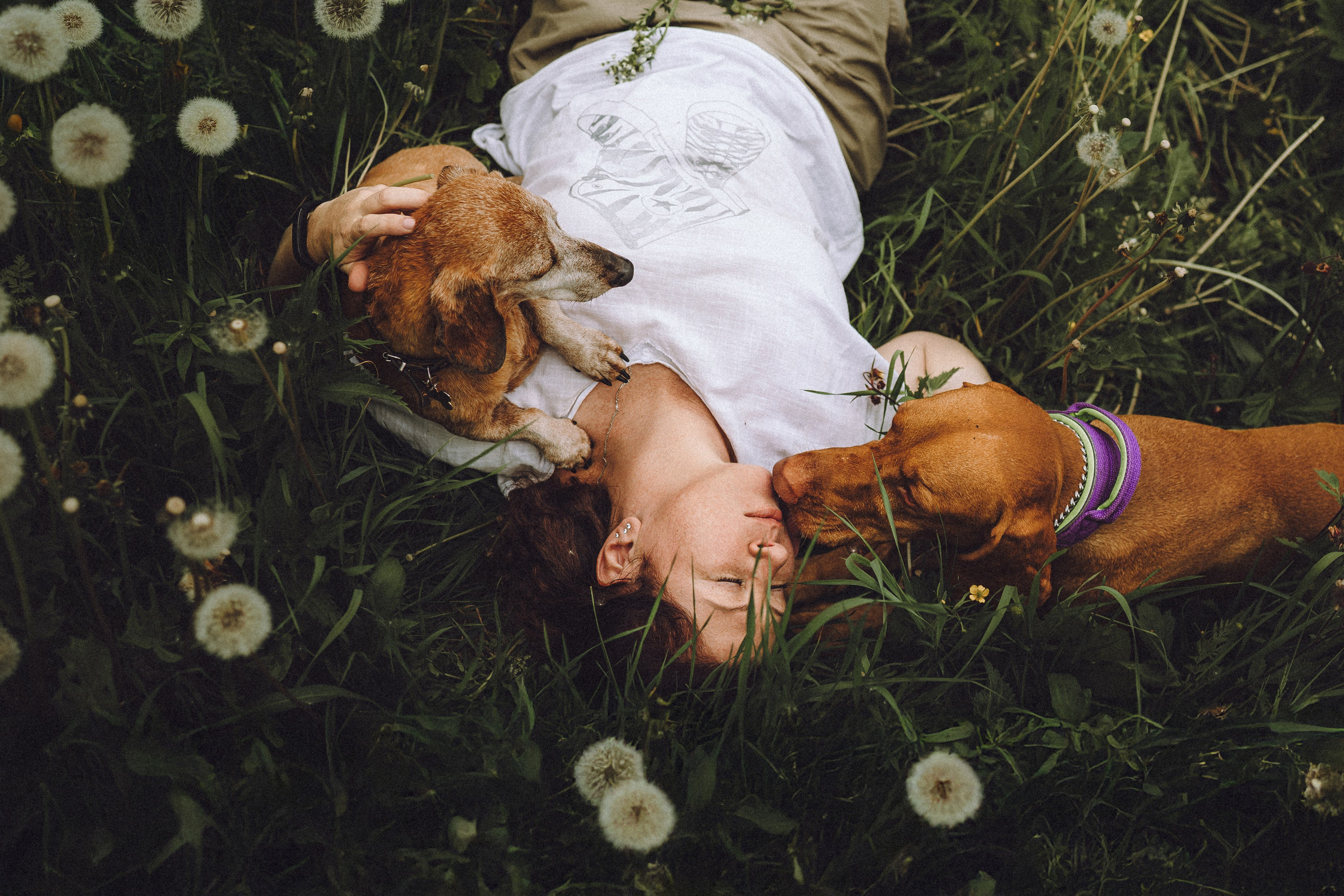 Груша, Данни, Фунтик и их семья