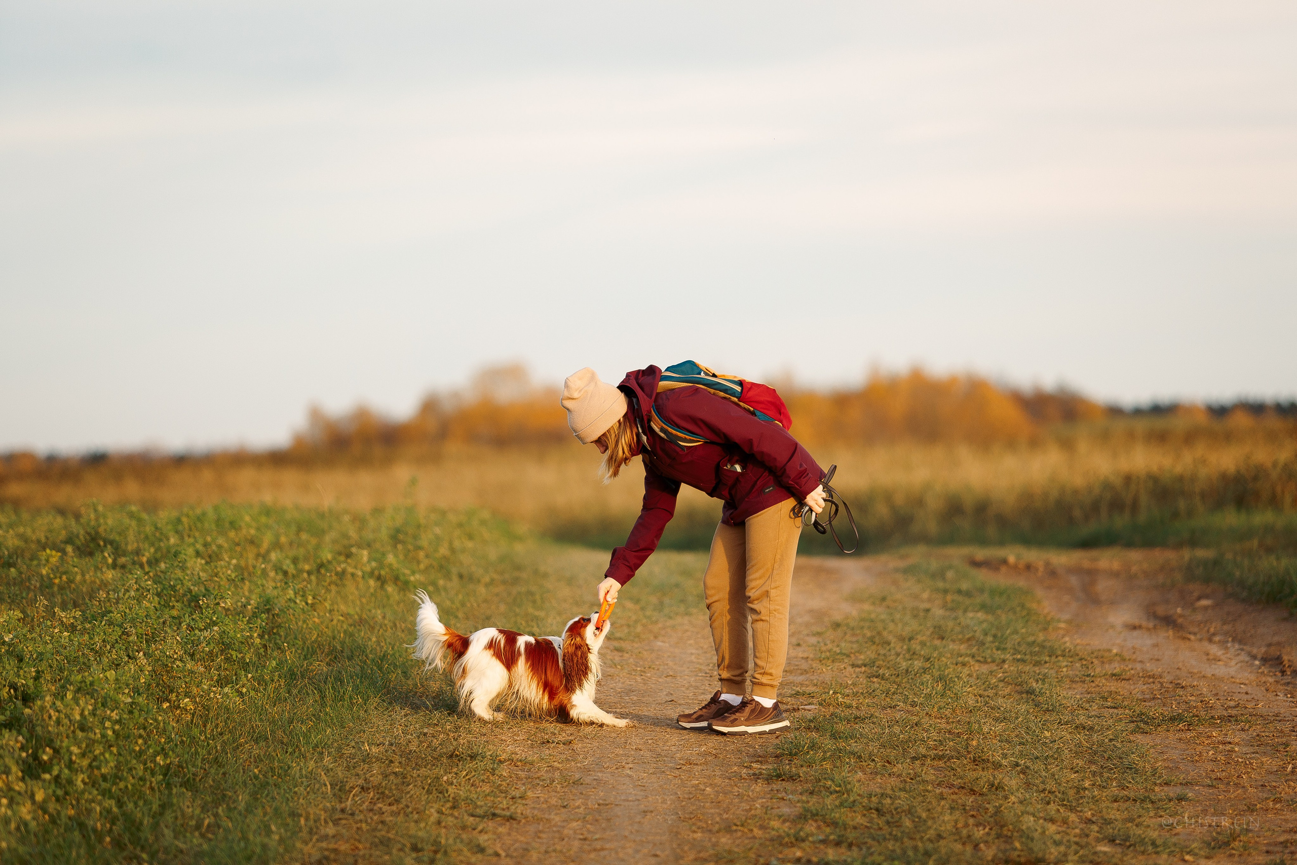 Октябрьский закат в полях. Алина и Лео. Фотограф-анималист Наталия Чистюхина в г. Сосновый Бор и ЛО
