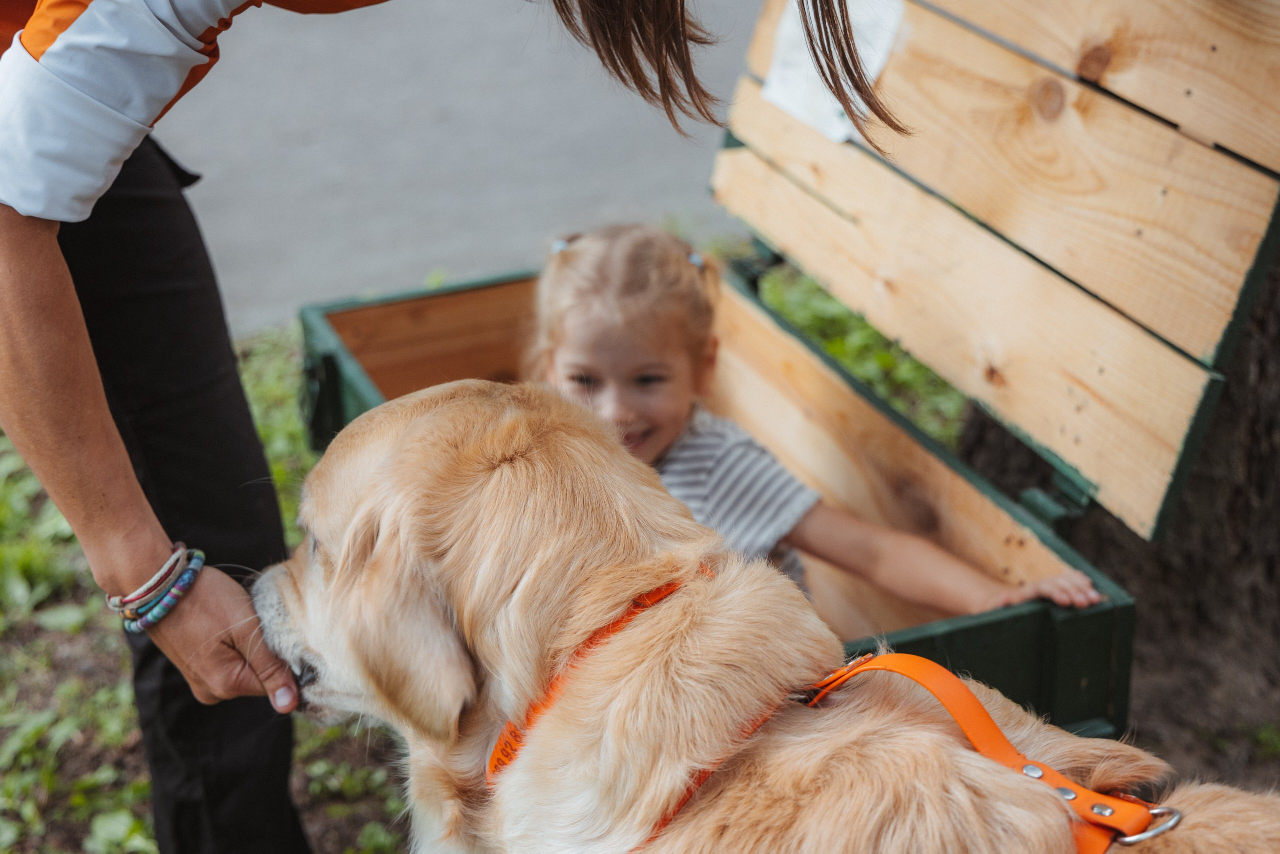 День Фронтовой Собаки (поисково-спасательные собаки). Фотограф Ирина Астор
