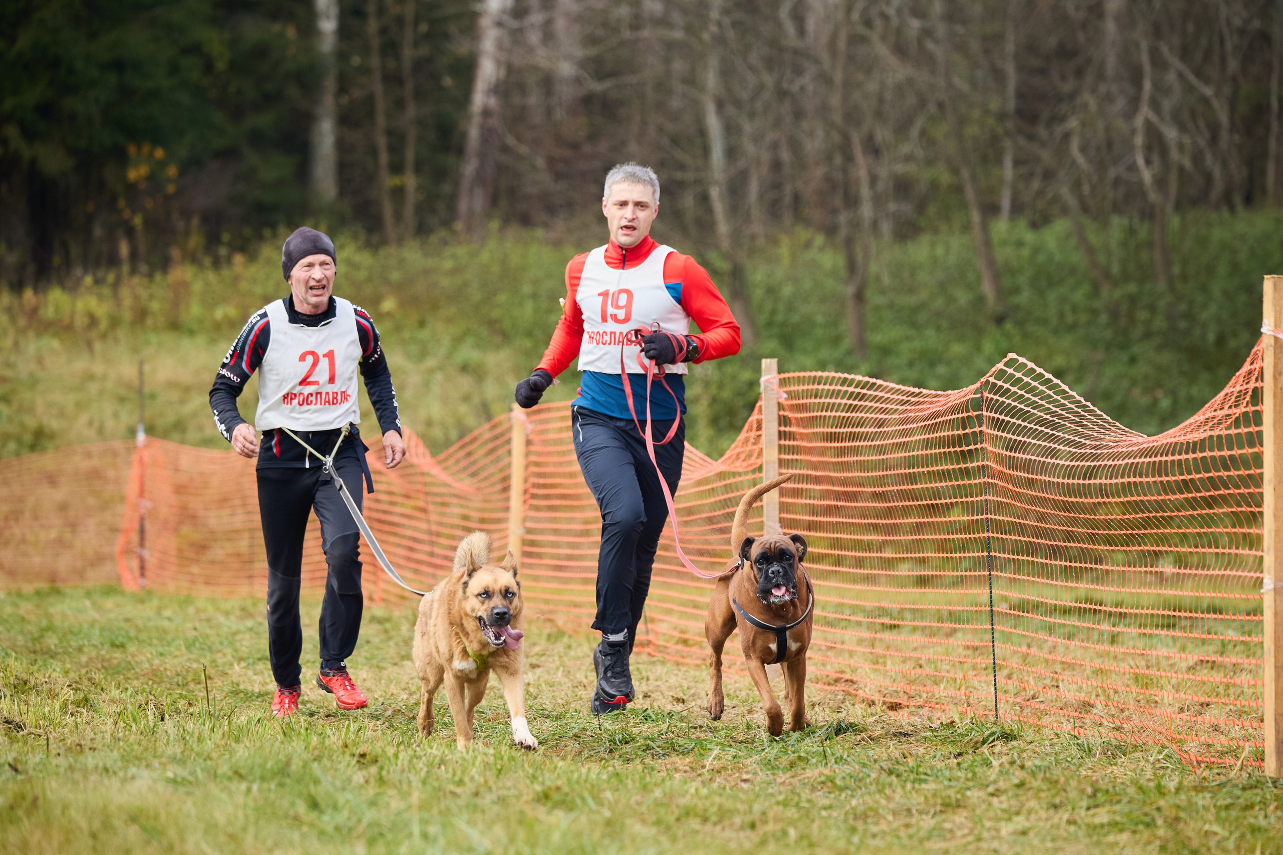 Чемпионат по ЕС Ярославской области. Фотограф Ирина Астор