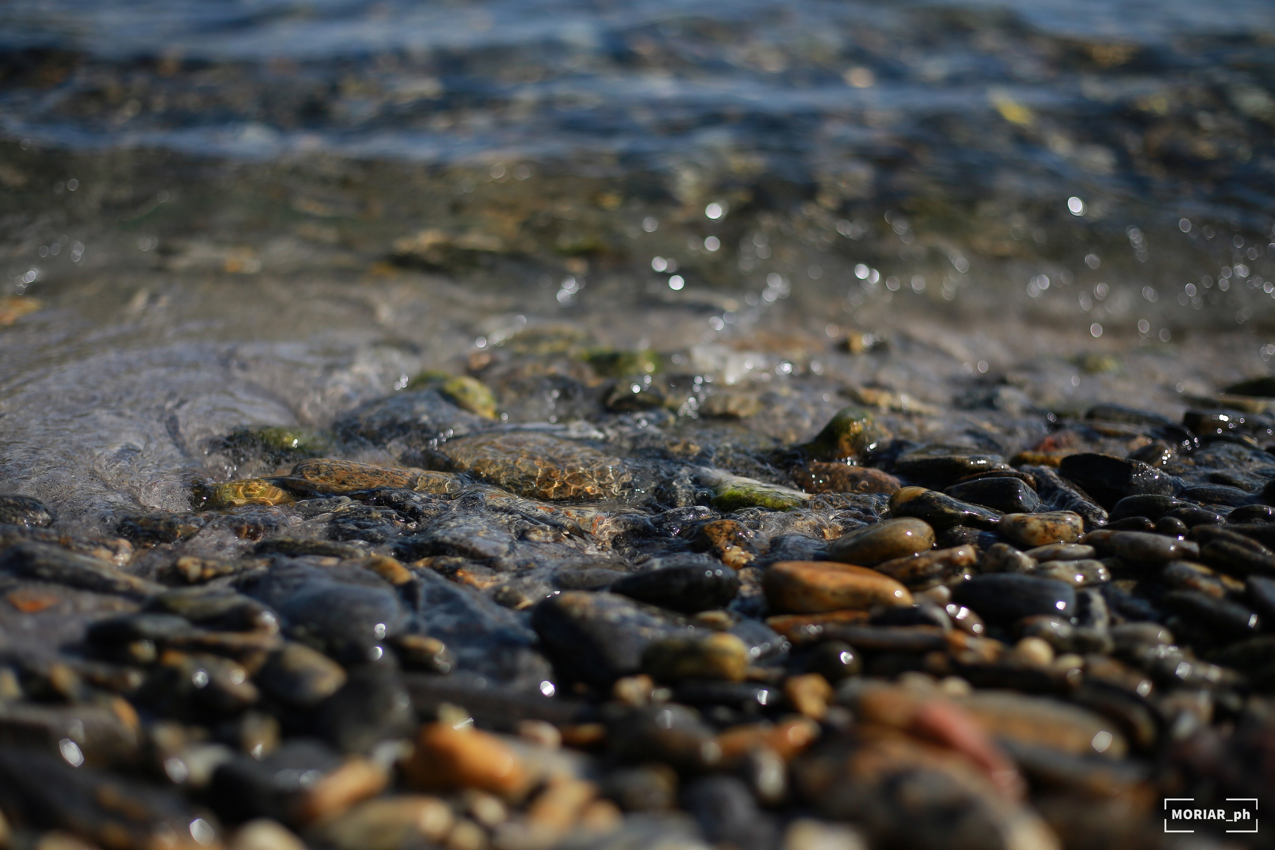 Отпуск. Портретный и репортажный фотограф в Кемерово Алексеева Анастасия