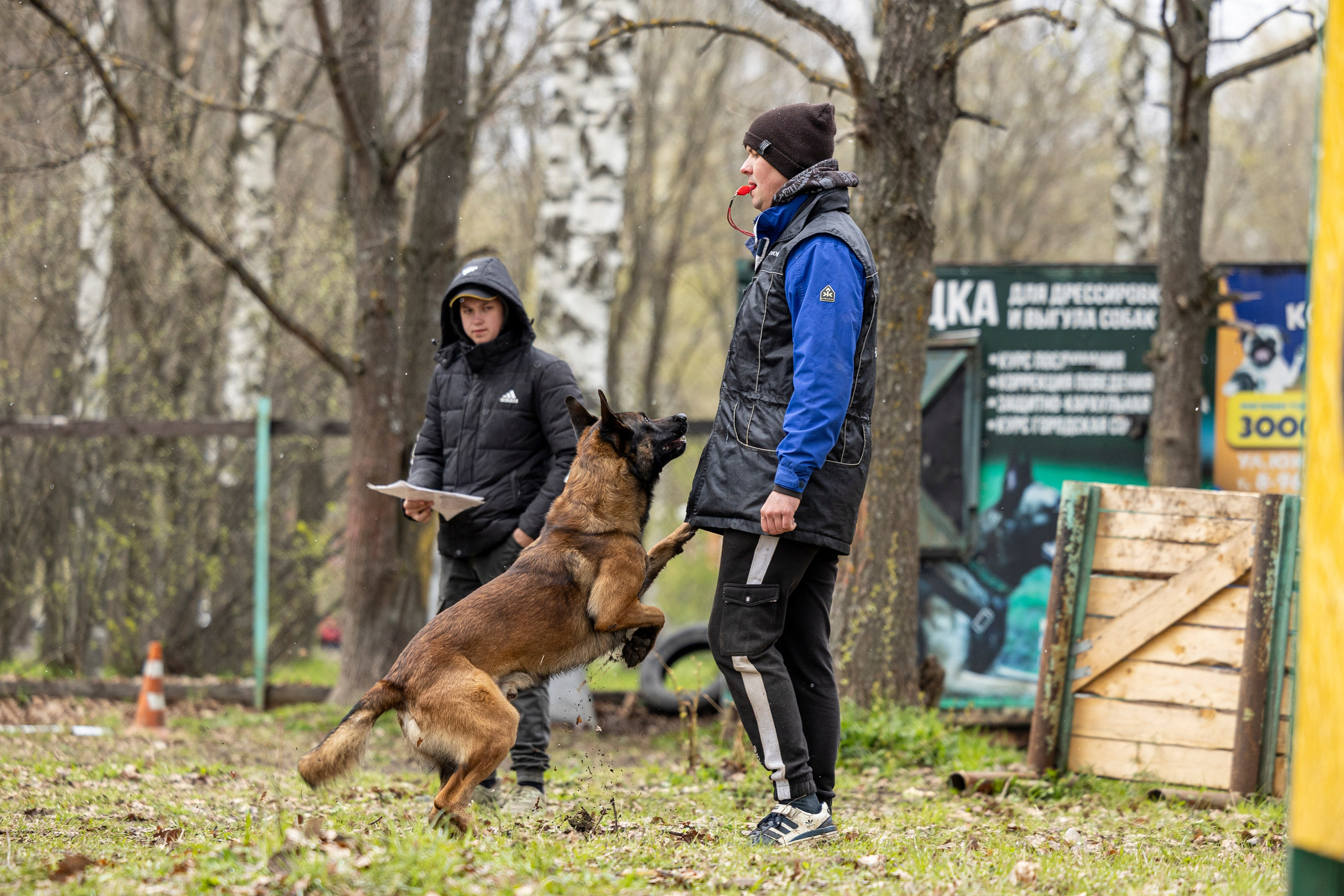 Квалификационные состязания по мондьорингу г. Вологда 11.05.24. Фотограф-анималист Анна Маринич