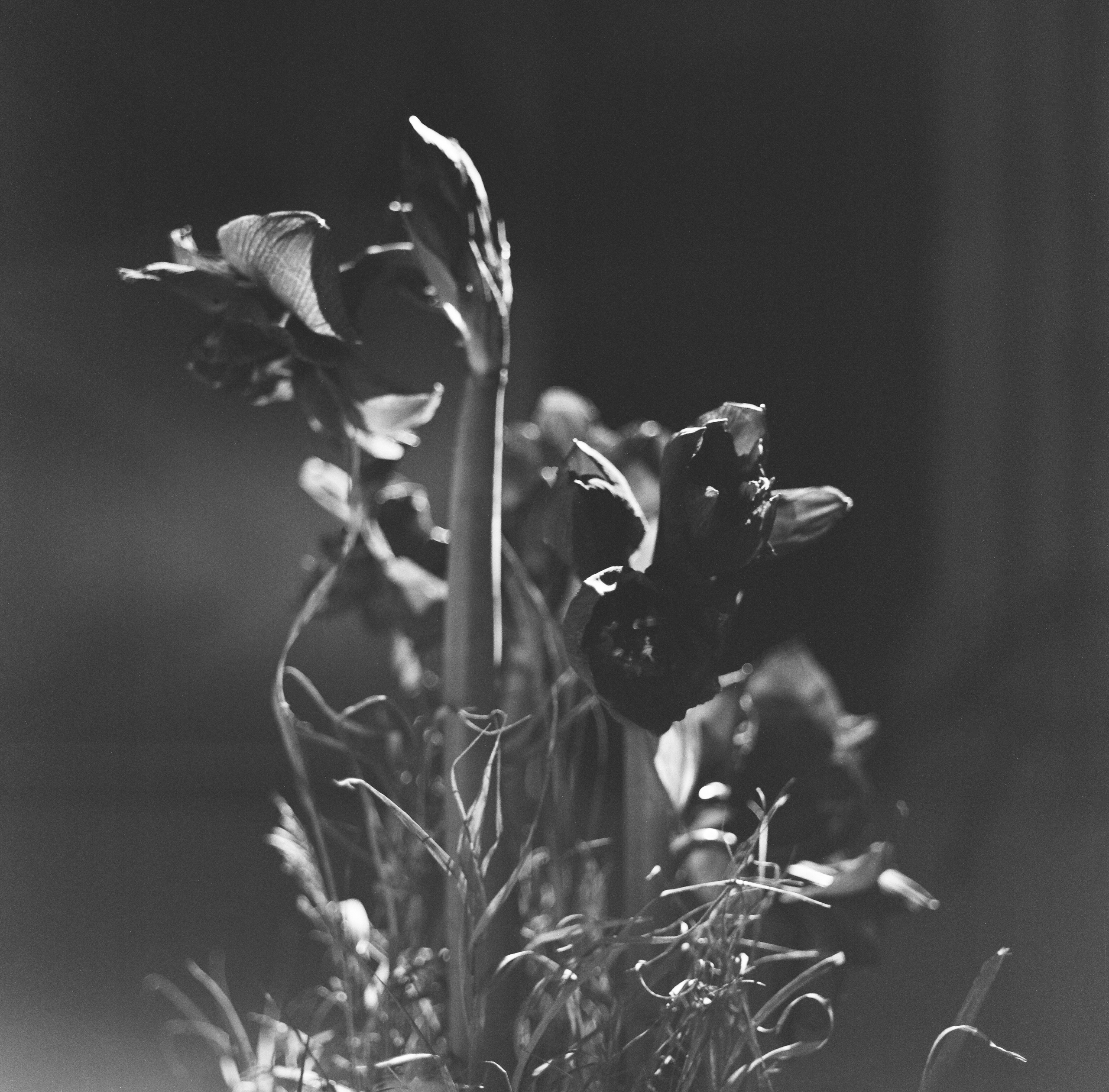 А ЛЯ РУСС. Хорошие фотографии в Красноярске