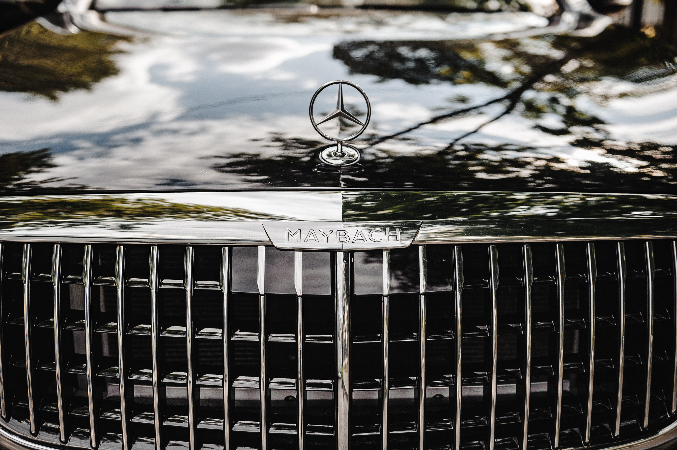 Кирилл и Дарья. Анонс свадебной фотосессии. Свадебный фотограф в Москве Алексей Тук