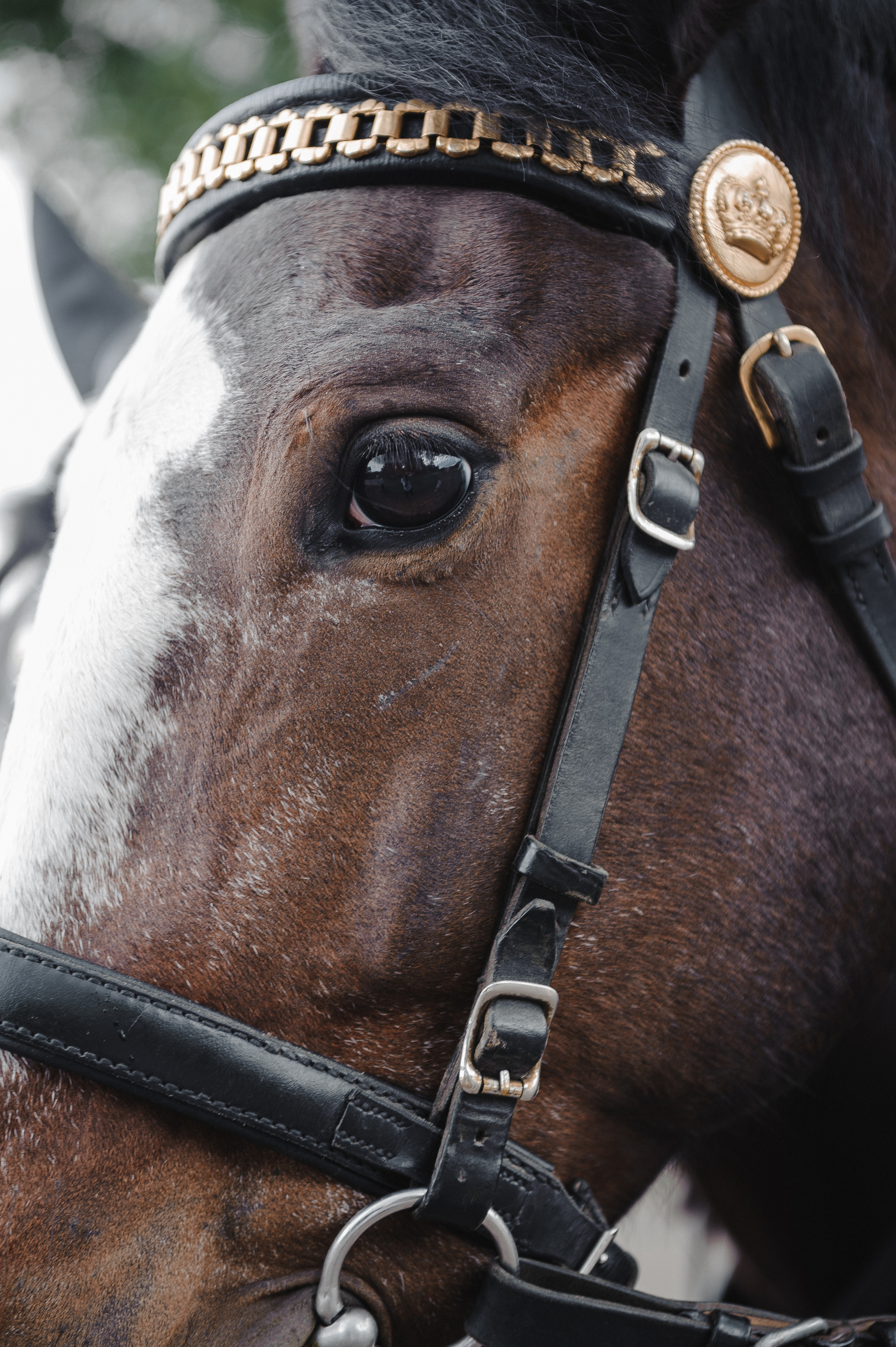 Кирилл и Дарья. Анонс свадебной фотосессии. Свадебный фотограф в Москве Алексей Тук