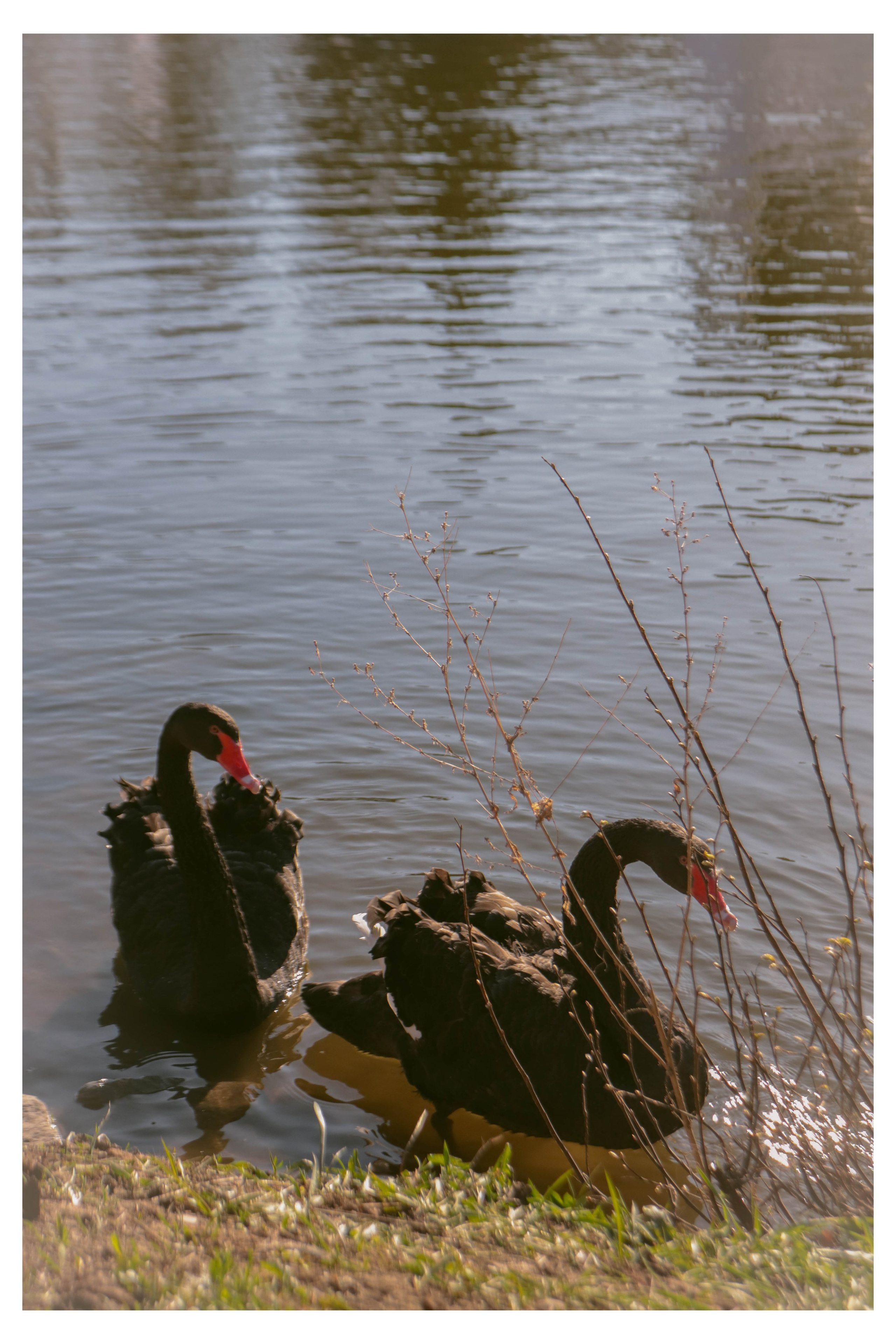 Альметьевск. Фотограф и видеограф в Бугульме Аня Трутнева