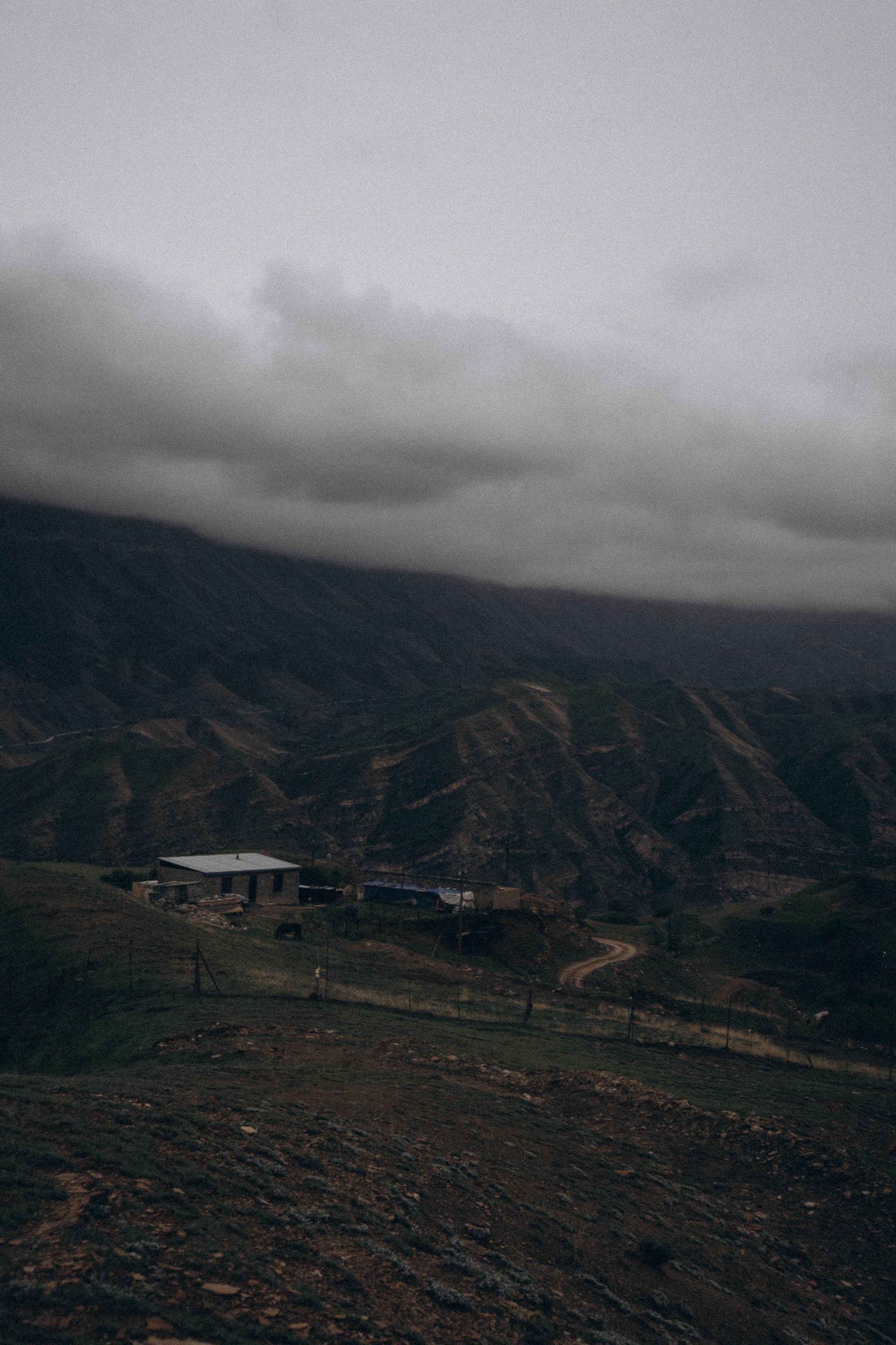 Кавказ. Профессиональный фотограф, Санкт-Петербург — Виктория Богомолова