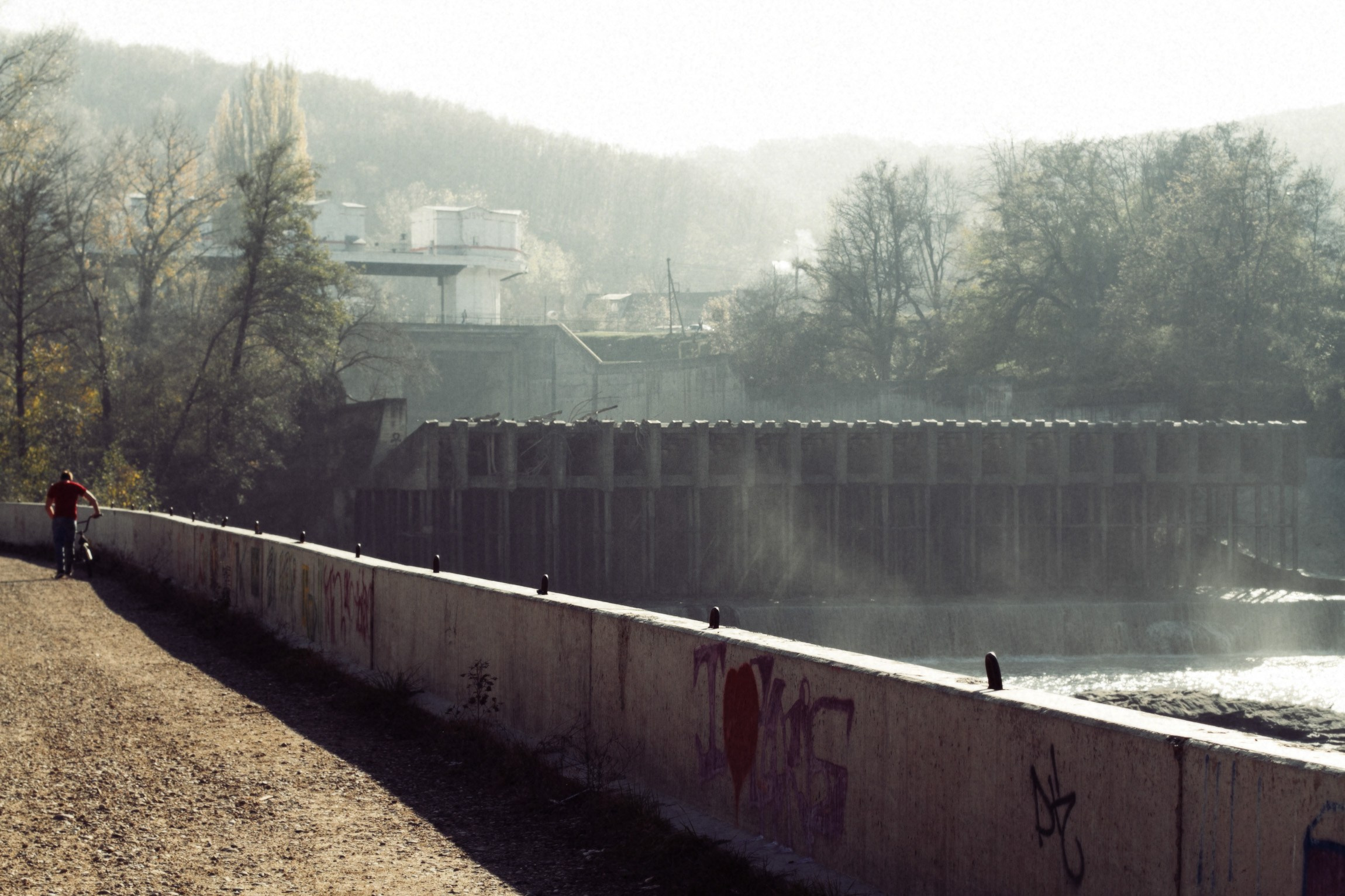 Lifestyle. Bivol images