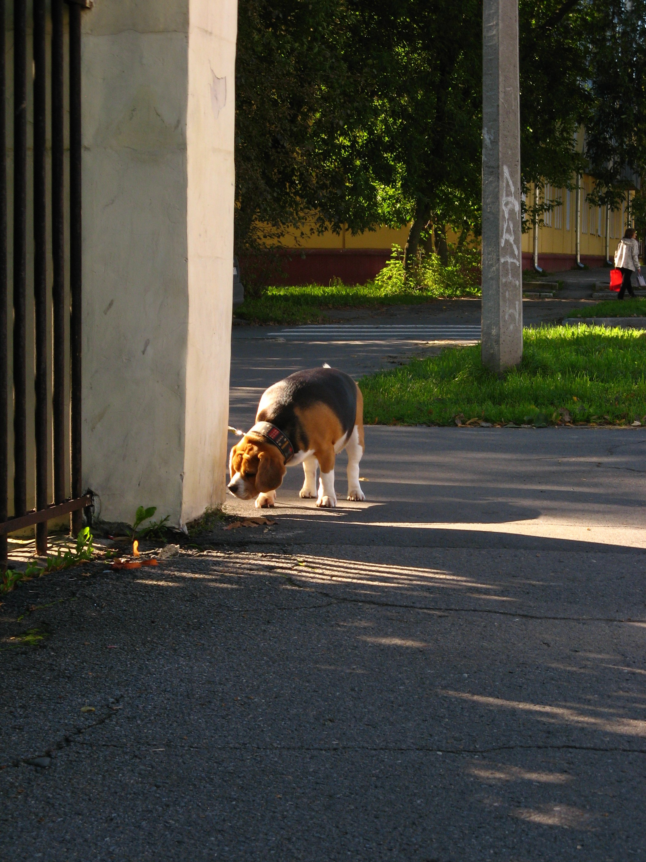 Сентябрь 2025. Den Mirov — Фотограф, Музыкант