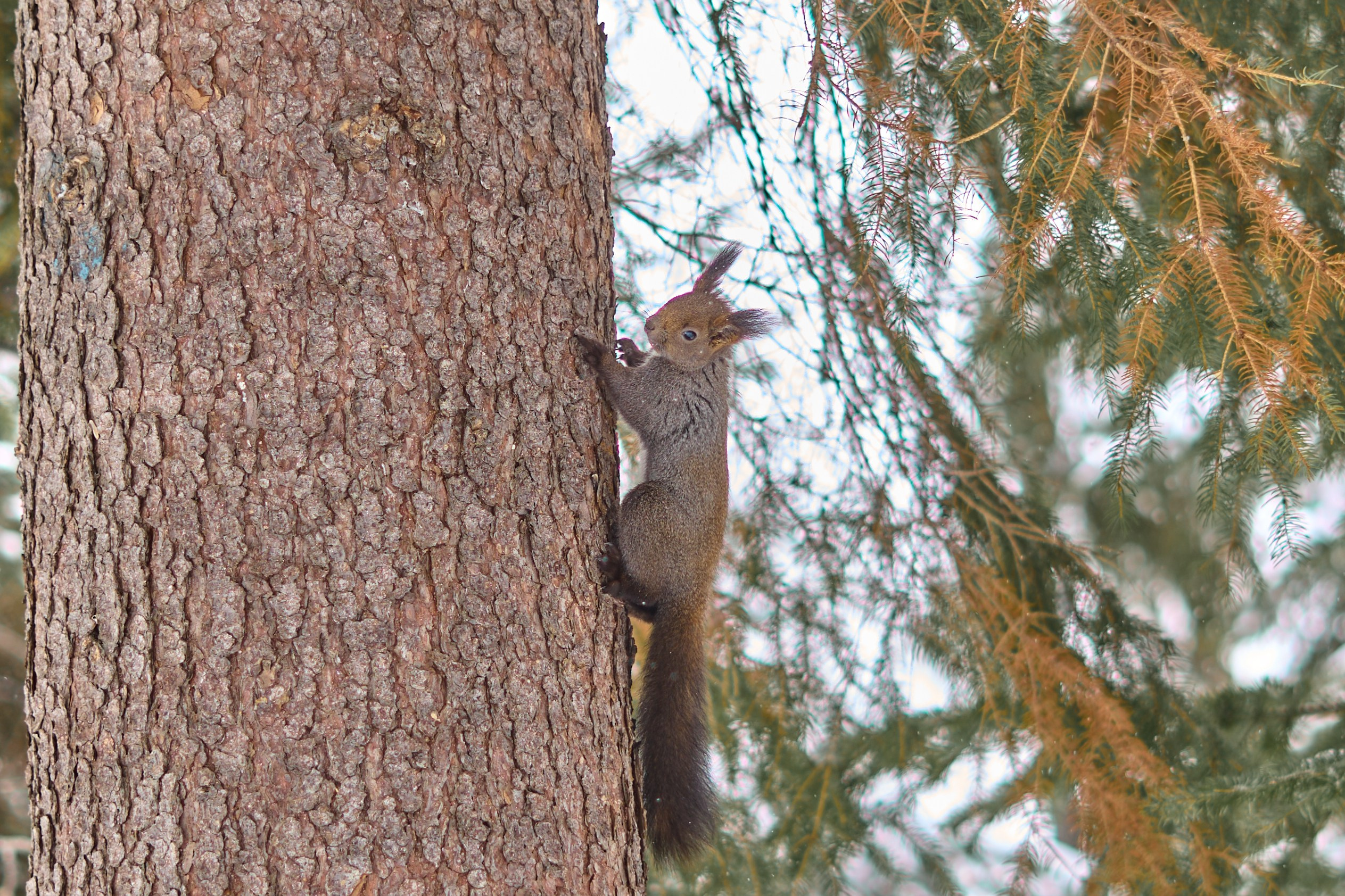 Природа. Фотограф Екатерина Зорина