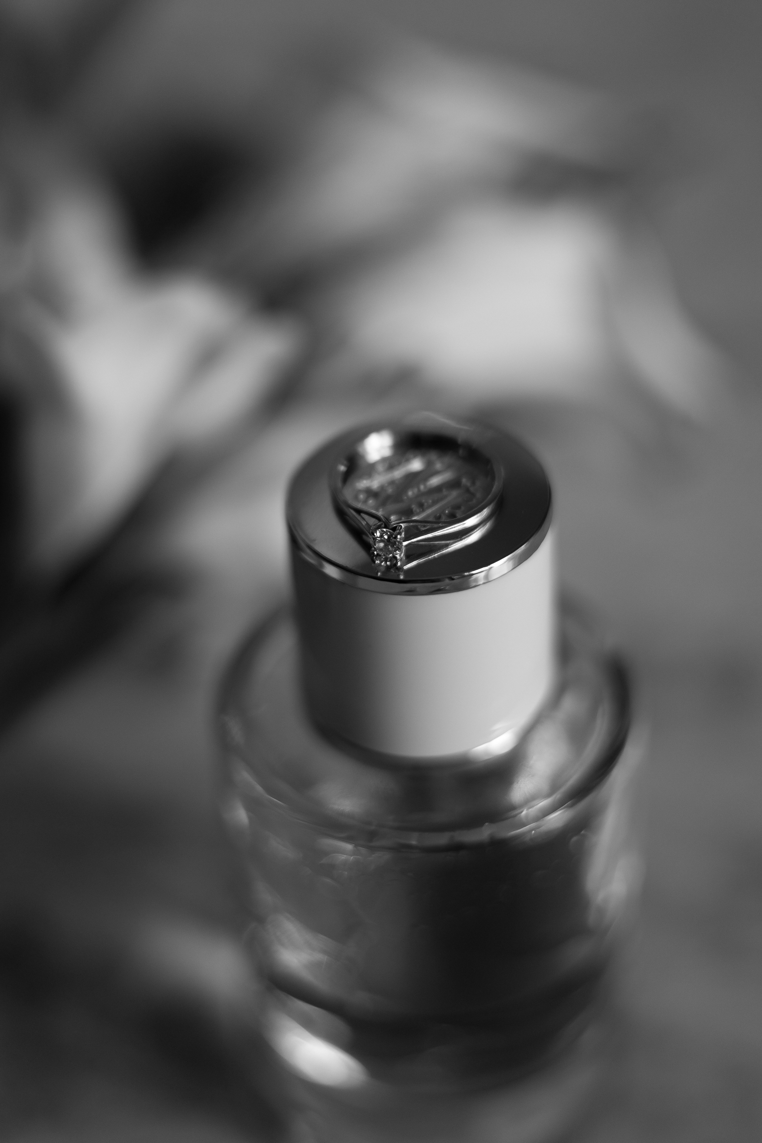 Серая кошка и рыжий кот. Свадебный и семейный фотограф Арина Кулёва