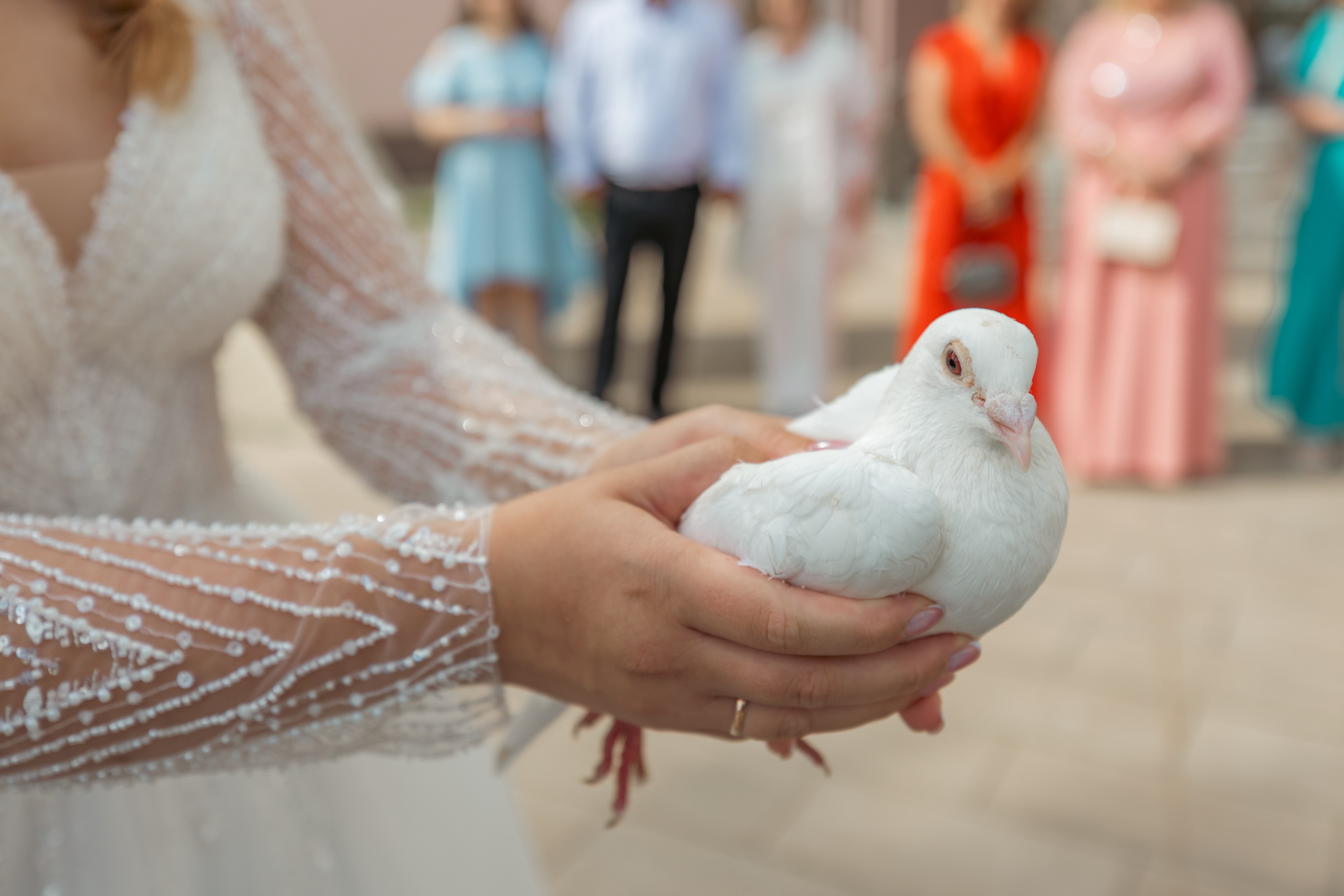 Дмитрий & Екатерина. Детский и семейный фотограф Евгения Вахнеева Москва Зеленоград