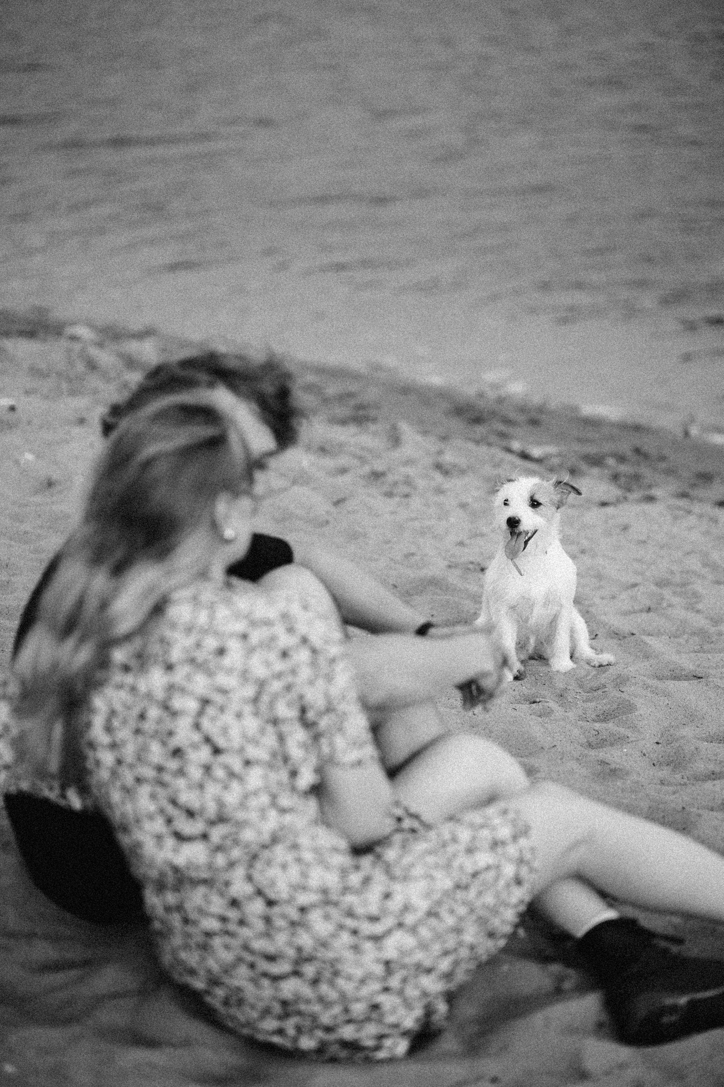 Семейная фотосессия с четырехногим другом. Свадебный и семейный фотограф в Нижнем Новгороде Мезенцев Андрей