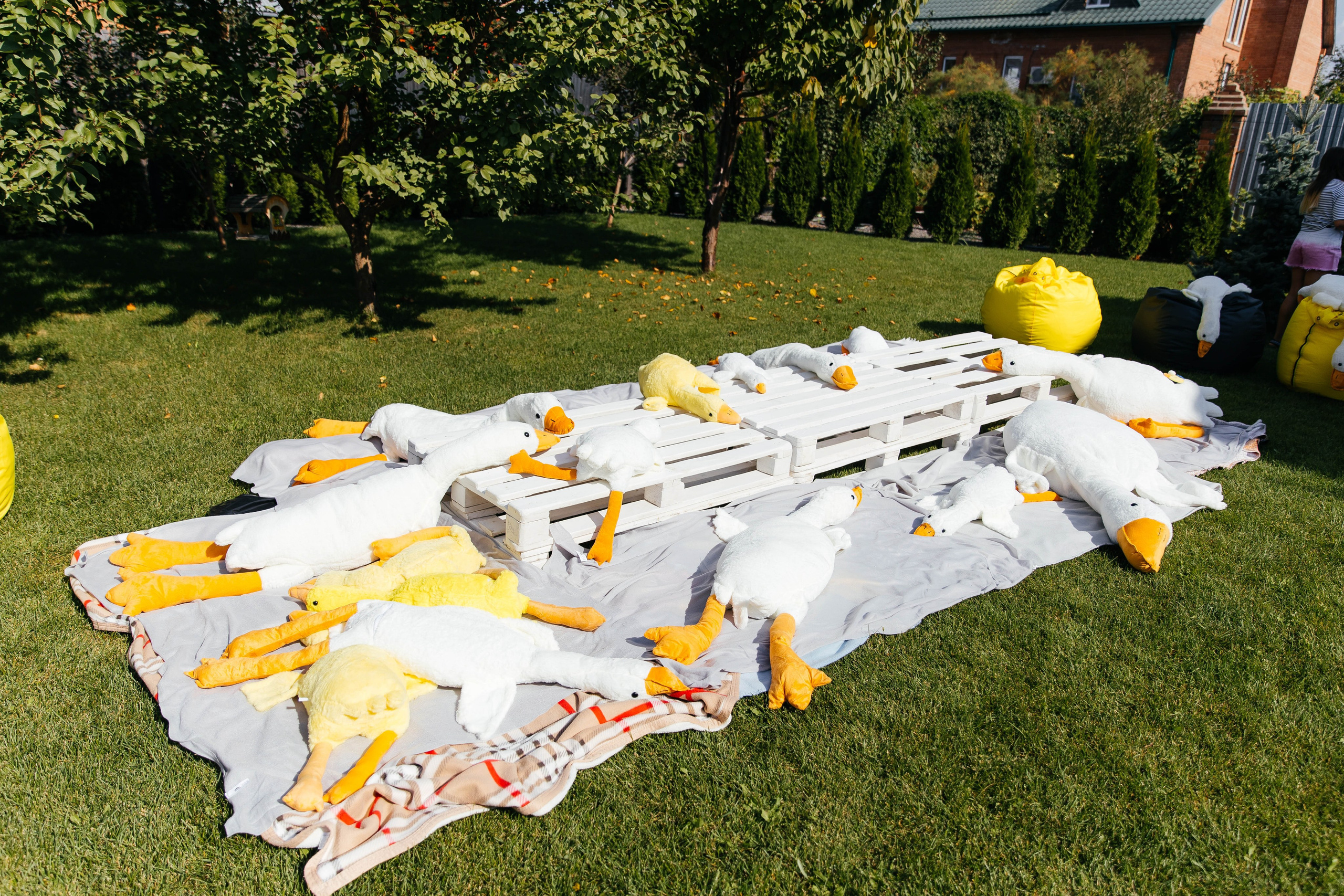 ДР Лены. Профессиональный фотограф Тольятти | Самара | Москва | Сочи