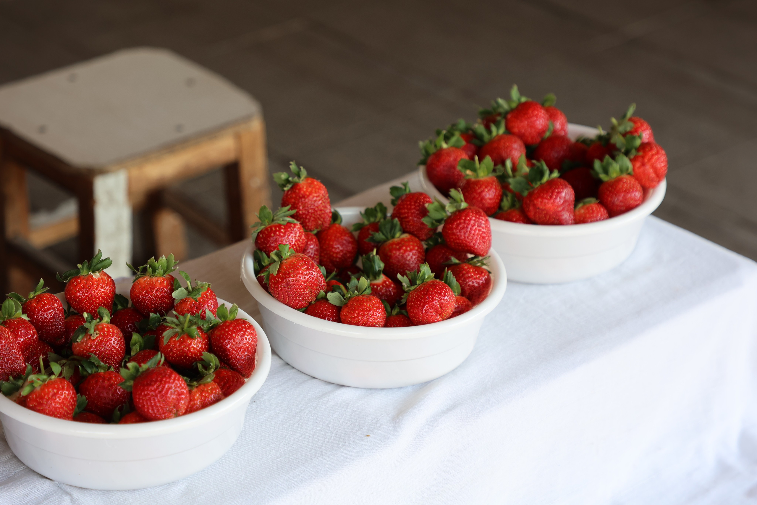 Tashkent, Uzbekistan. Andrey Filippov Photographer