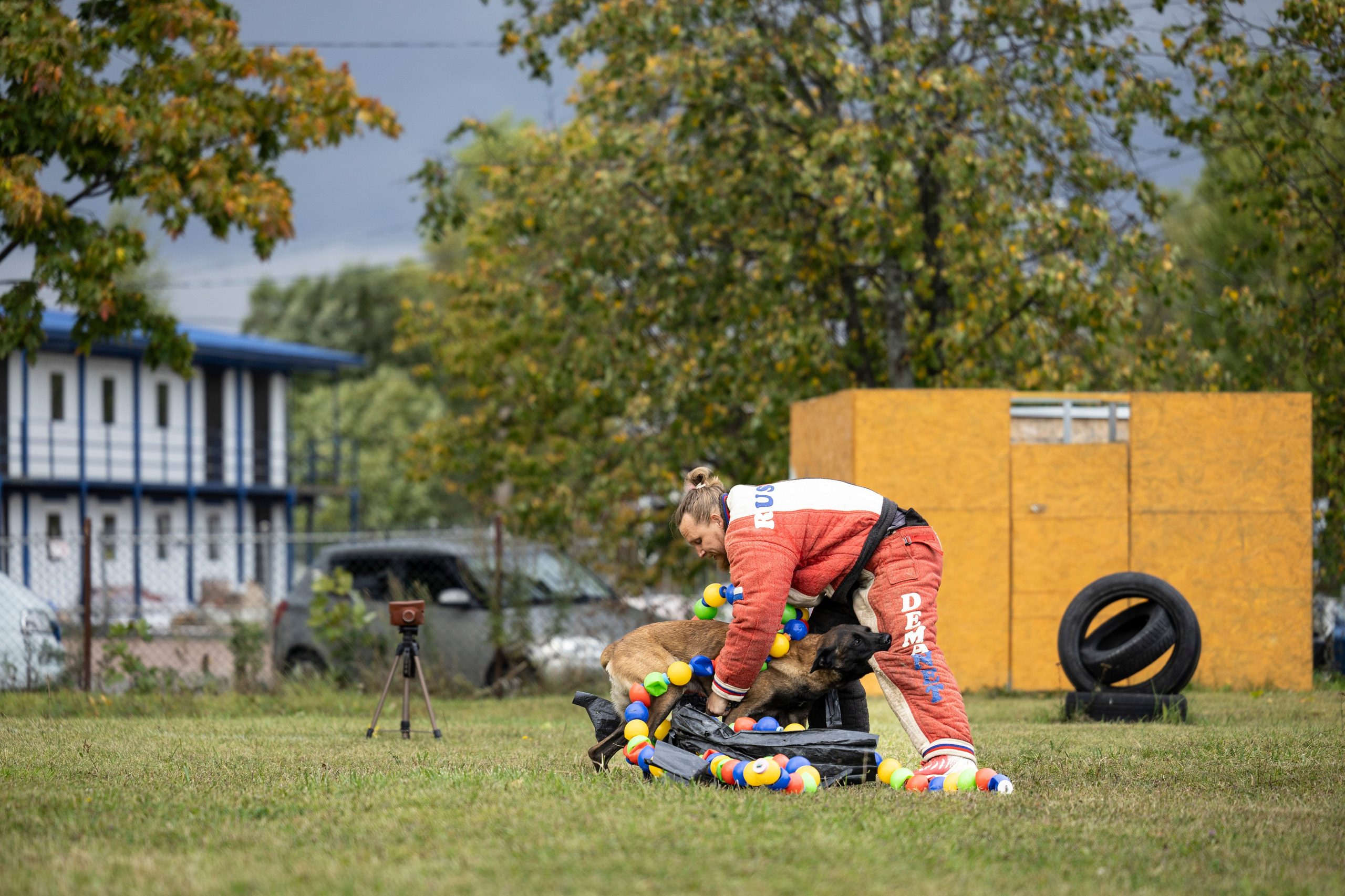 Испытания по Мондьорингу г. Пушкин. Фотограф-анималист Анна Маринич