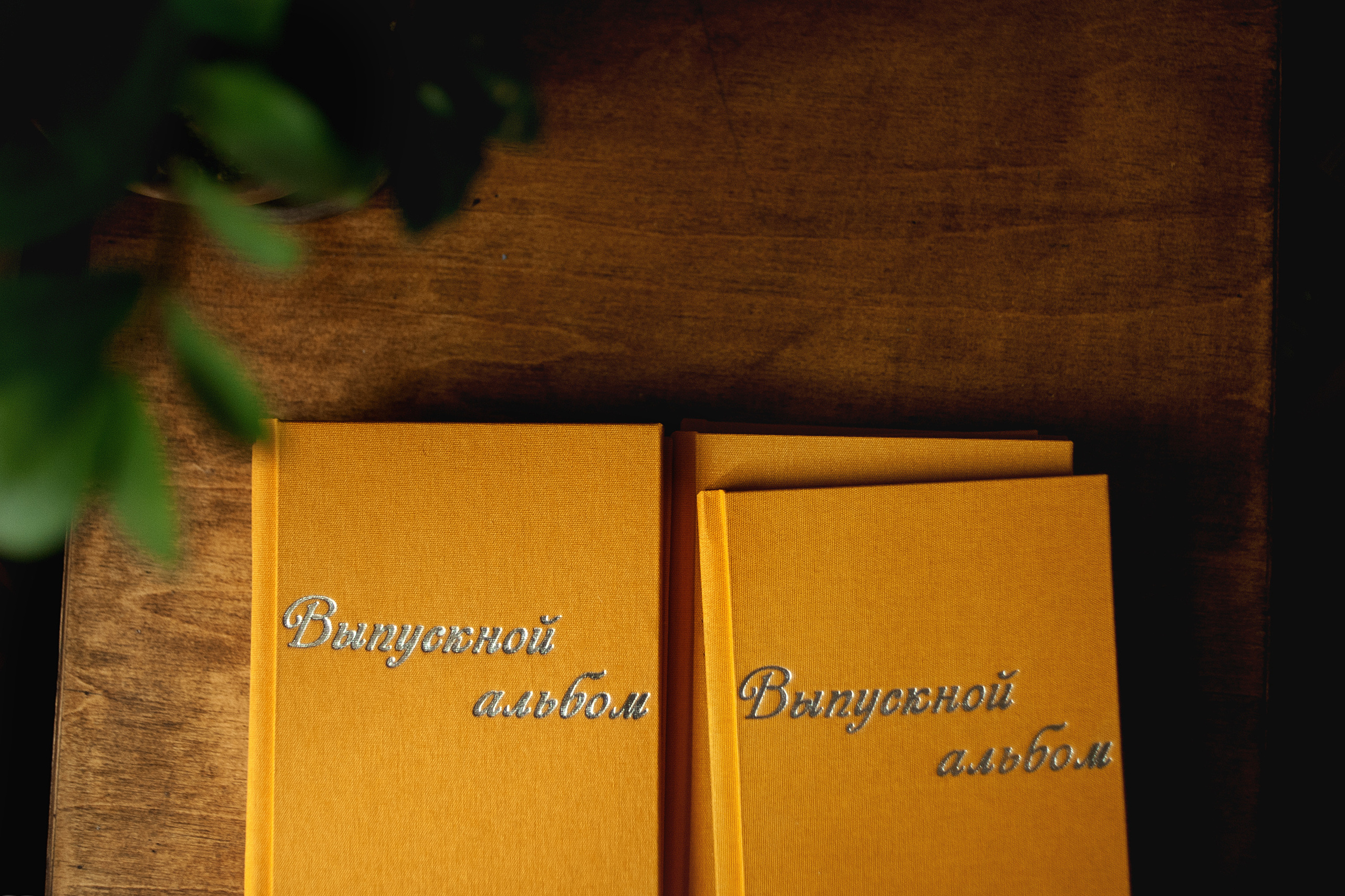 Предметы. Ваш семейный фотограф