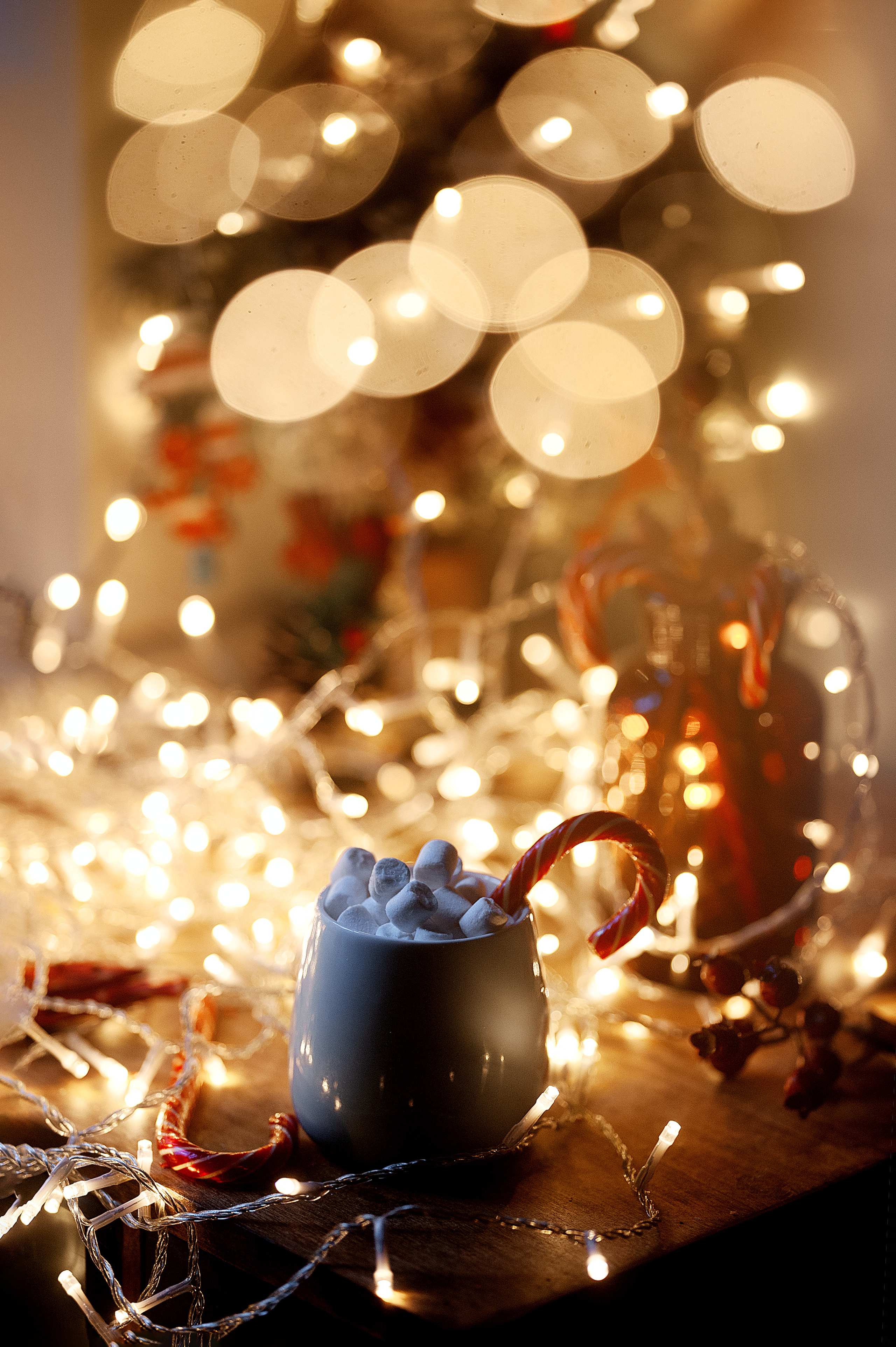 Предметы. Ваш семейный фотограф