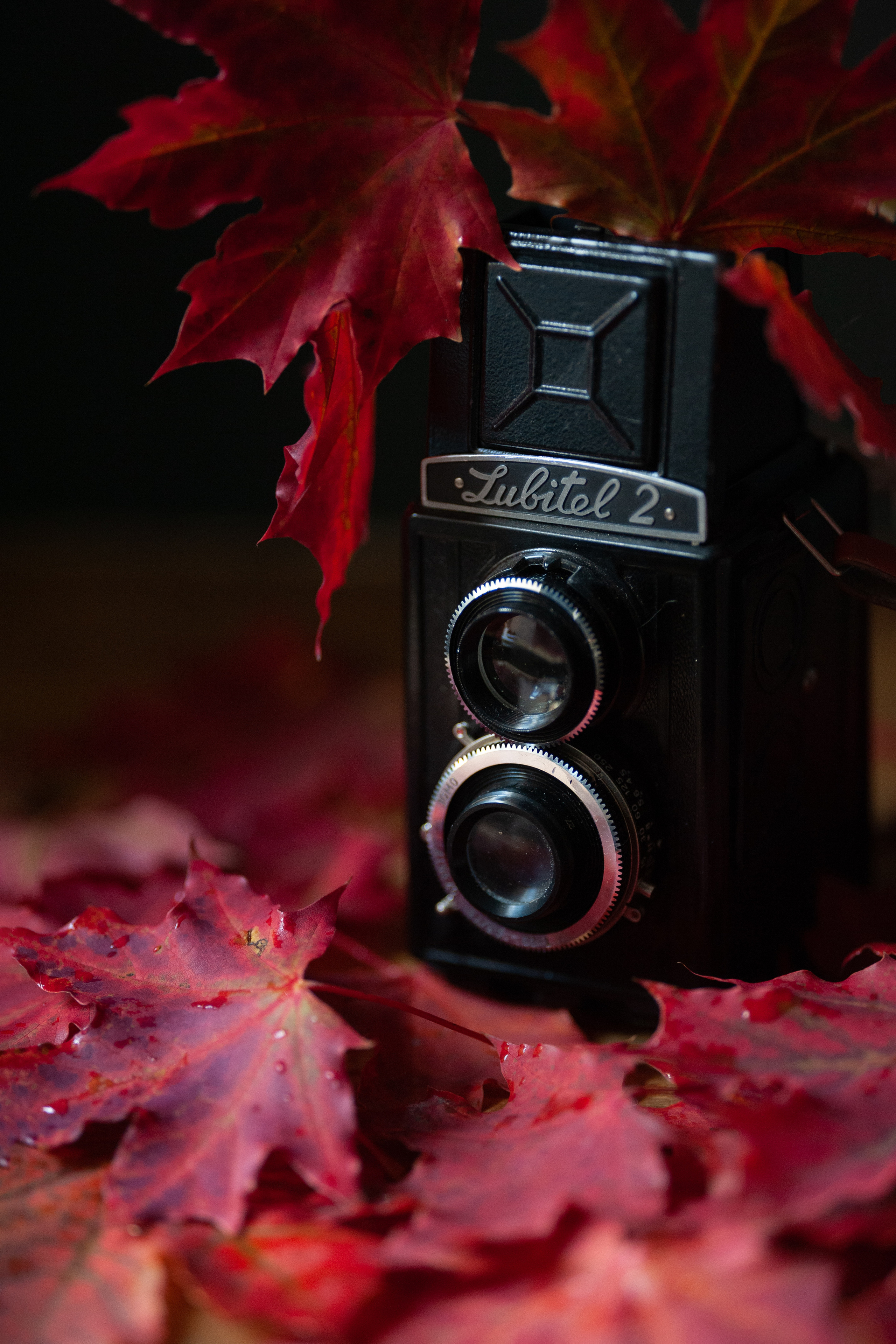 Предметы. Ваш семейный фотограф