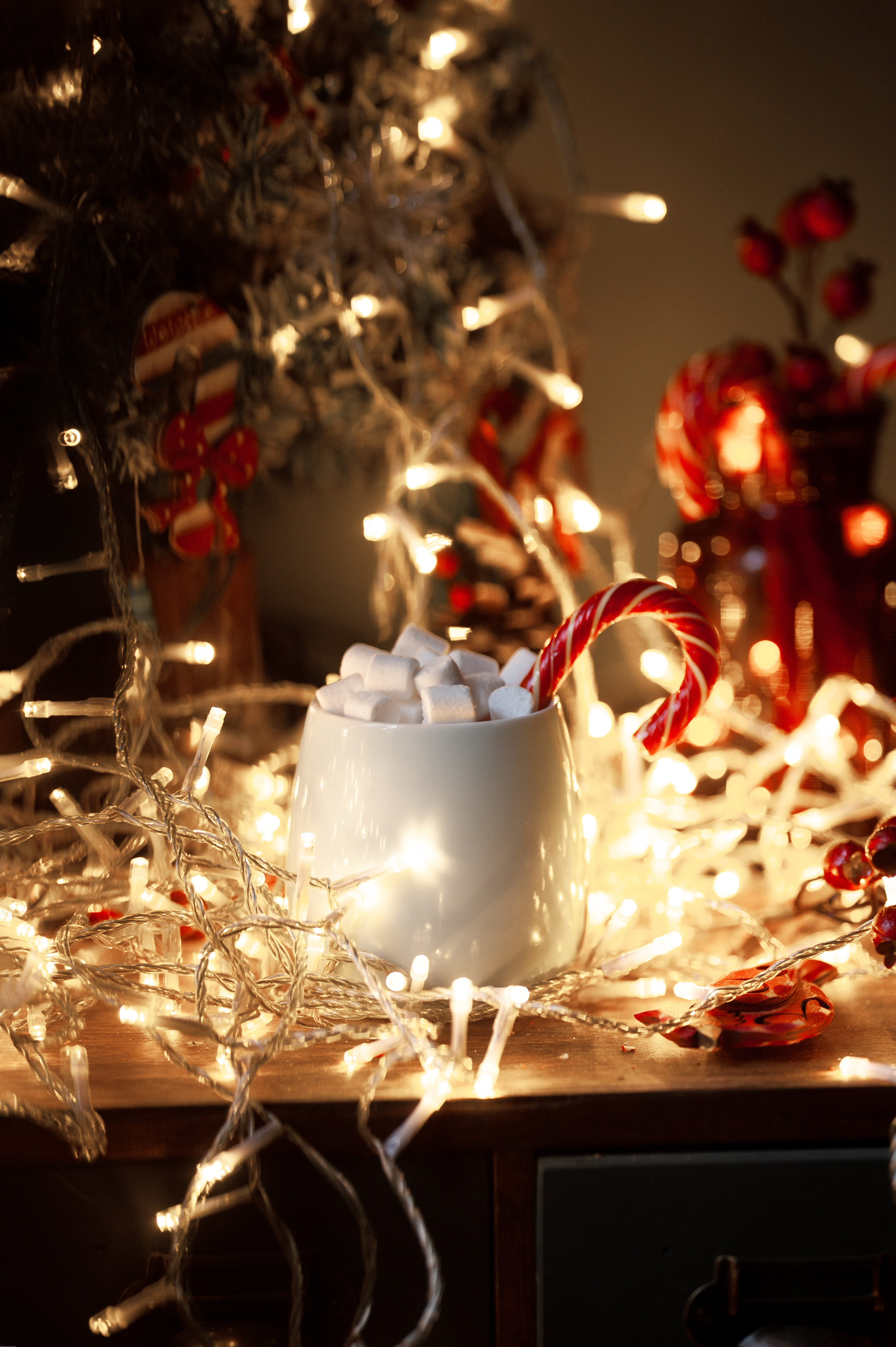 Предметы. Ваш семейный фотограф