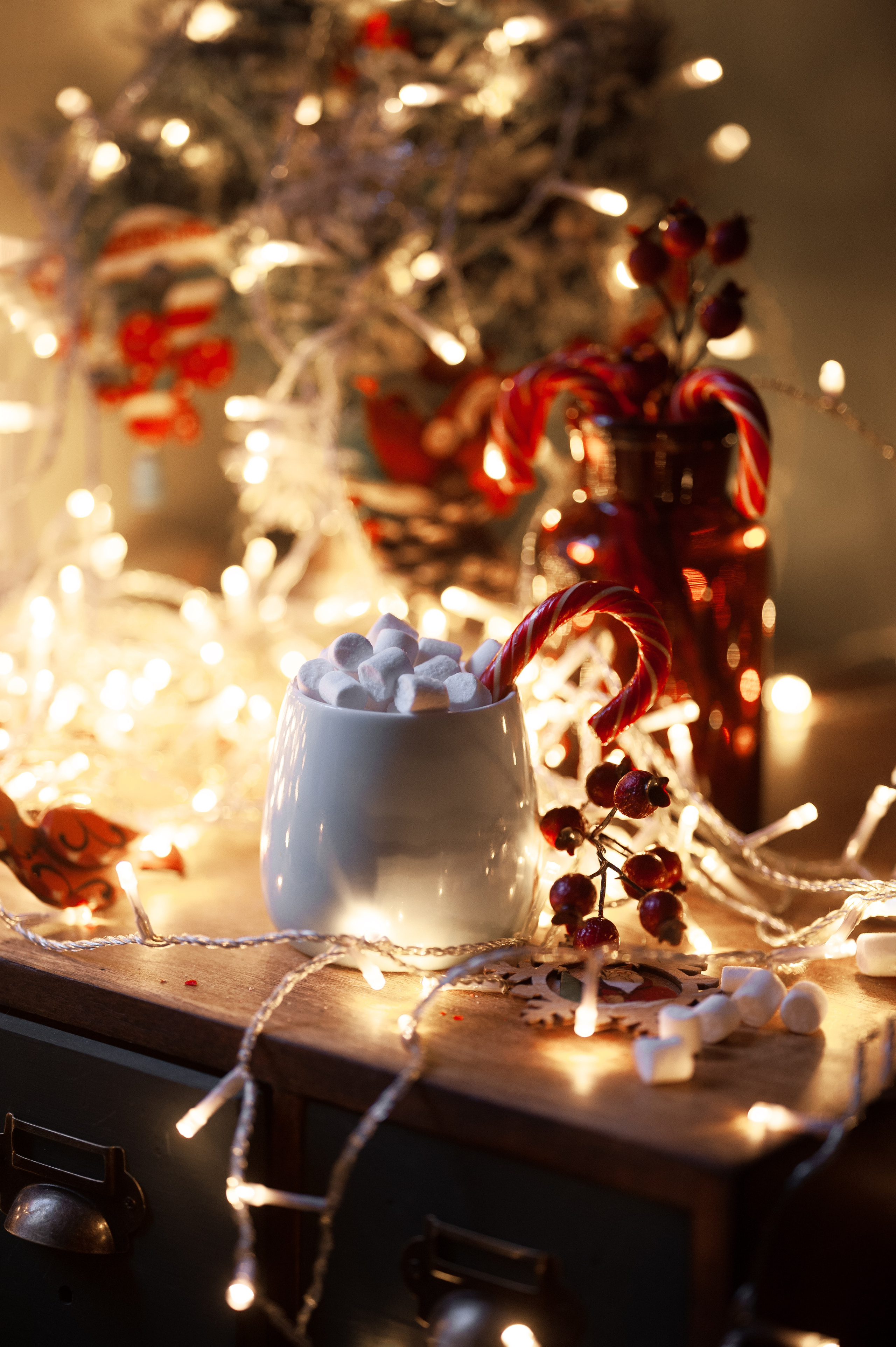 Предметы. Ваш семейный фотограф