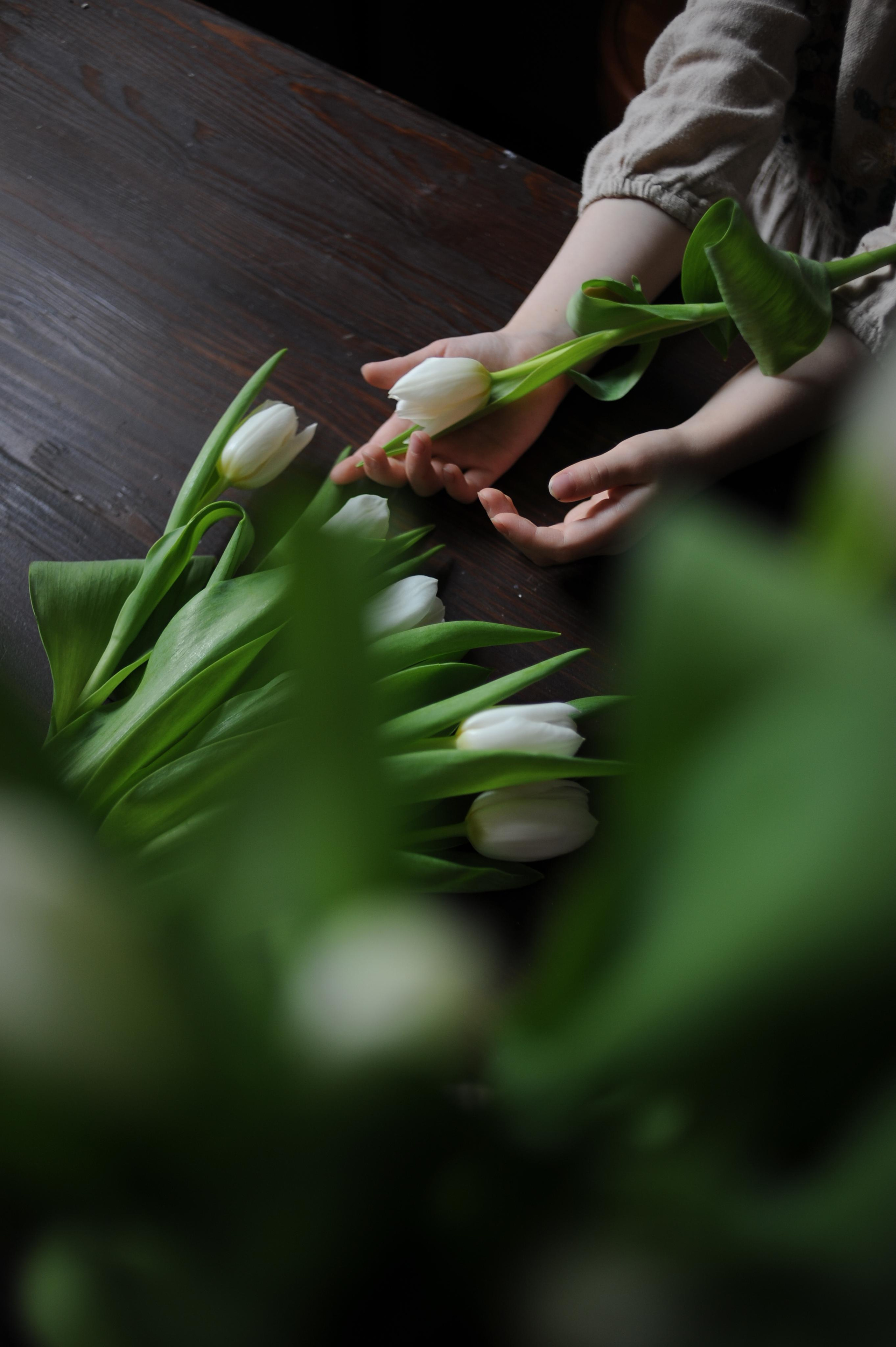 Предметы. Ваш семейный фотограф