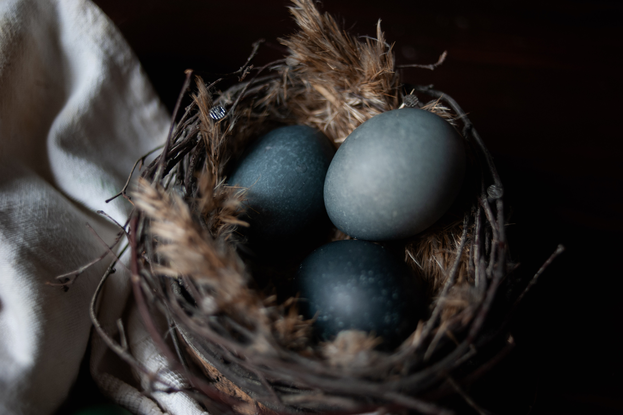 Предметы. Ваш семейный фотограф