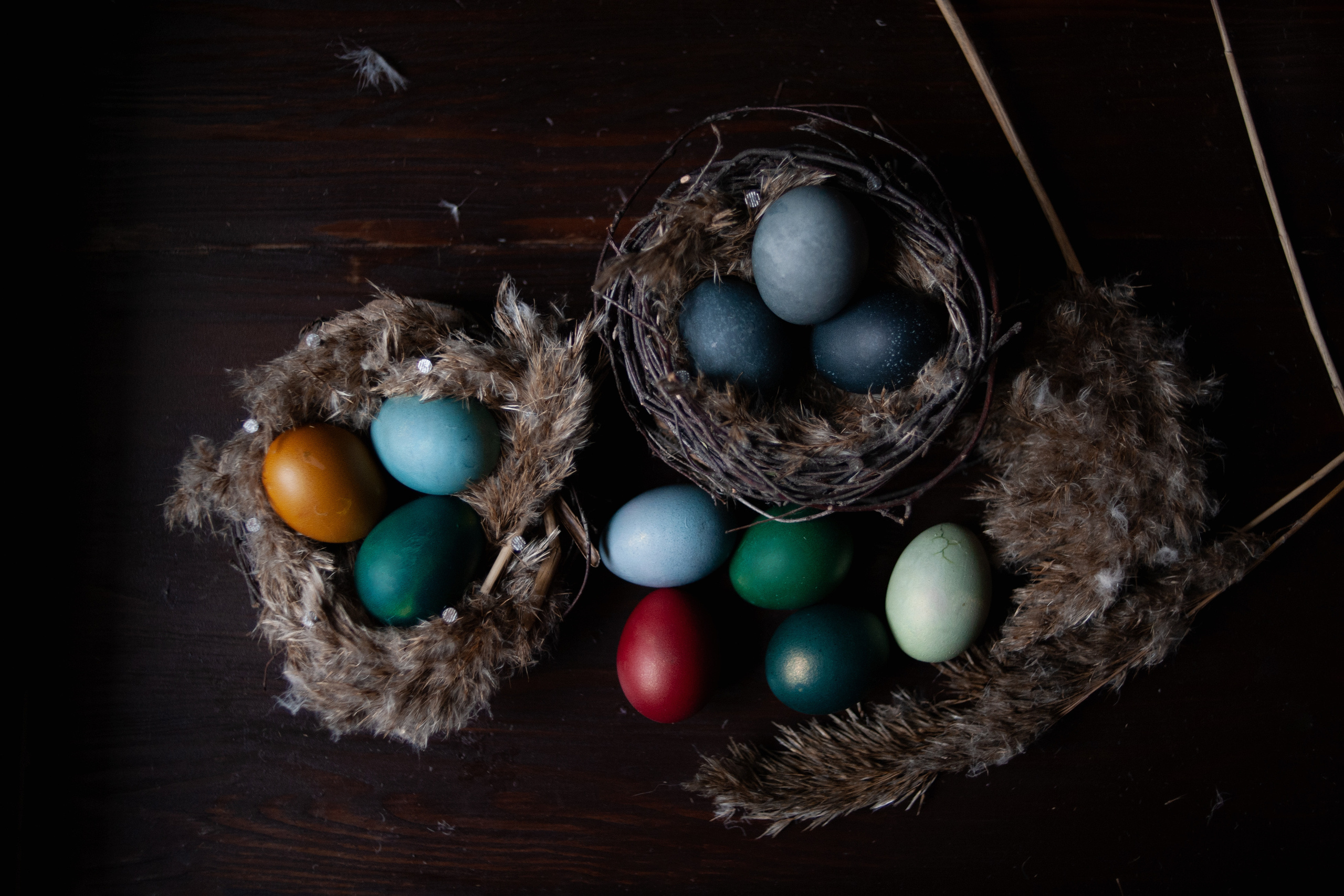 Предметы. Ваш семейный фотограф