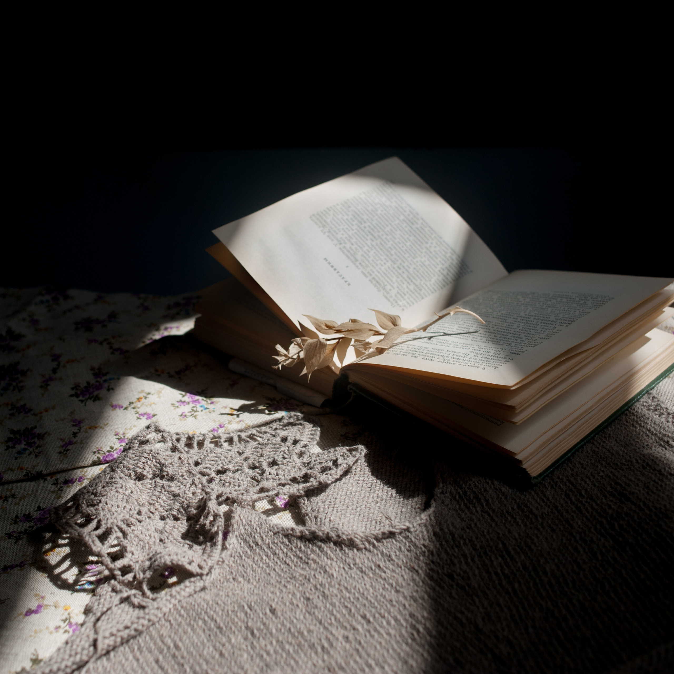 Предметы. Ваш семейный фотограф