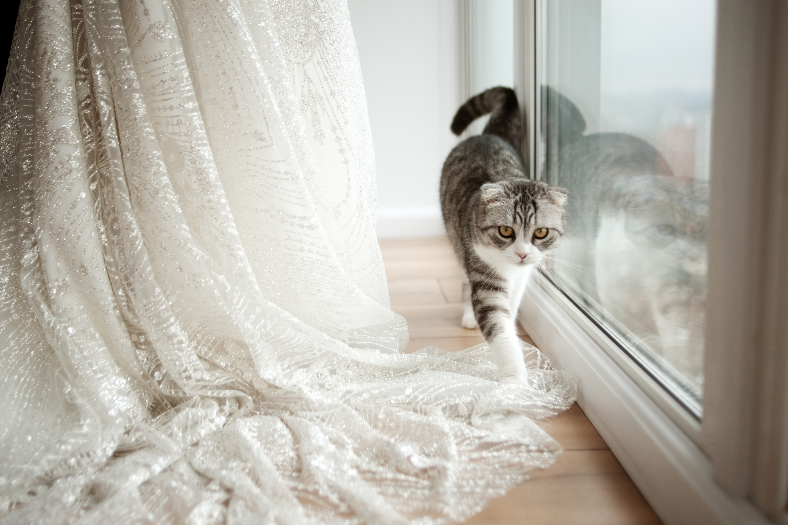 Счастье среди хаоса. Ваш семейный фотограф