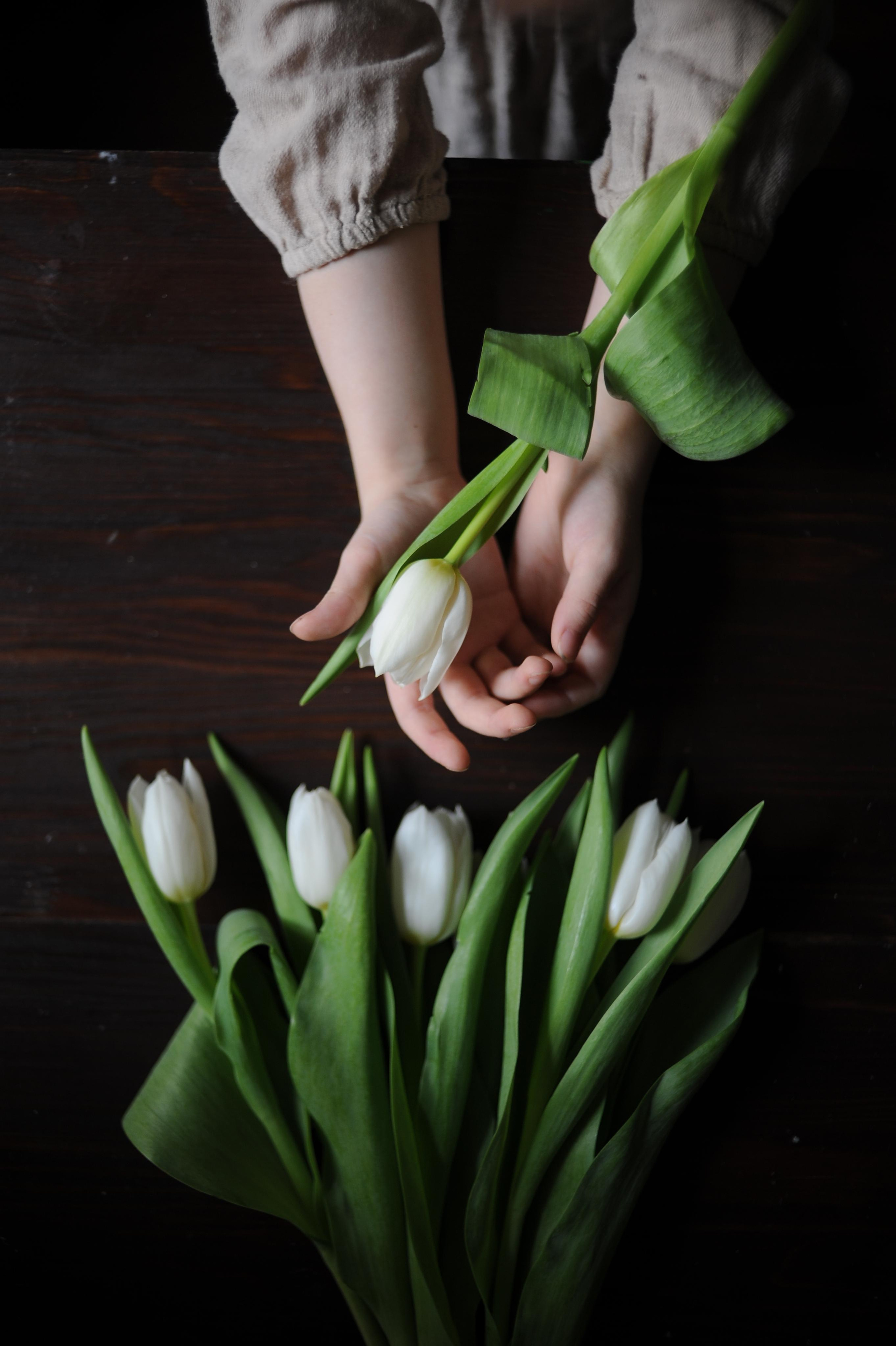 Предметы. Ваш семейный фотограф