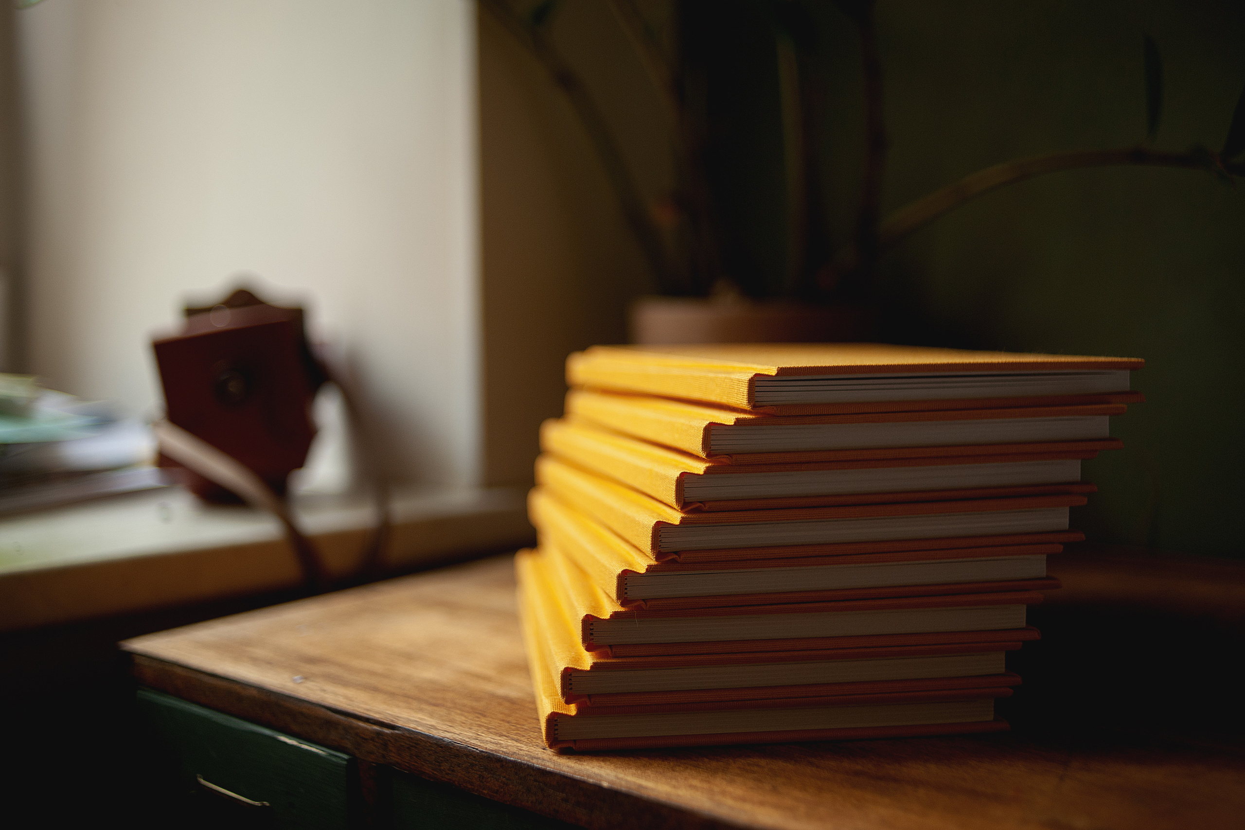 Предметы. Ваш семейный фотограф