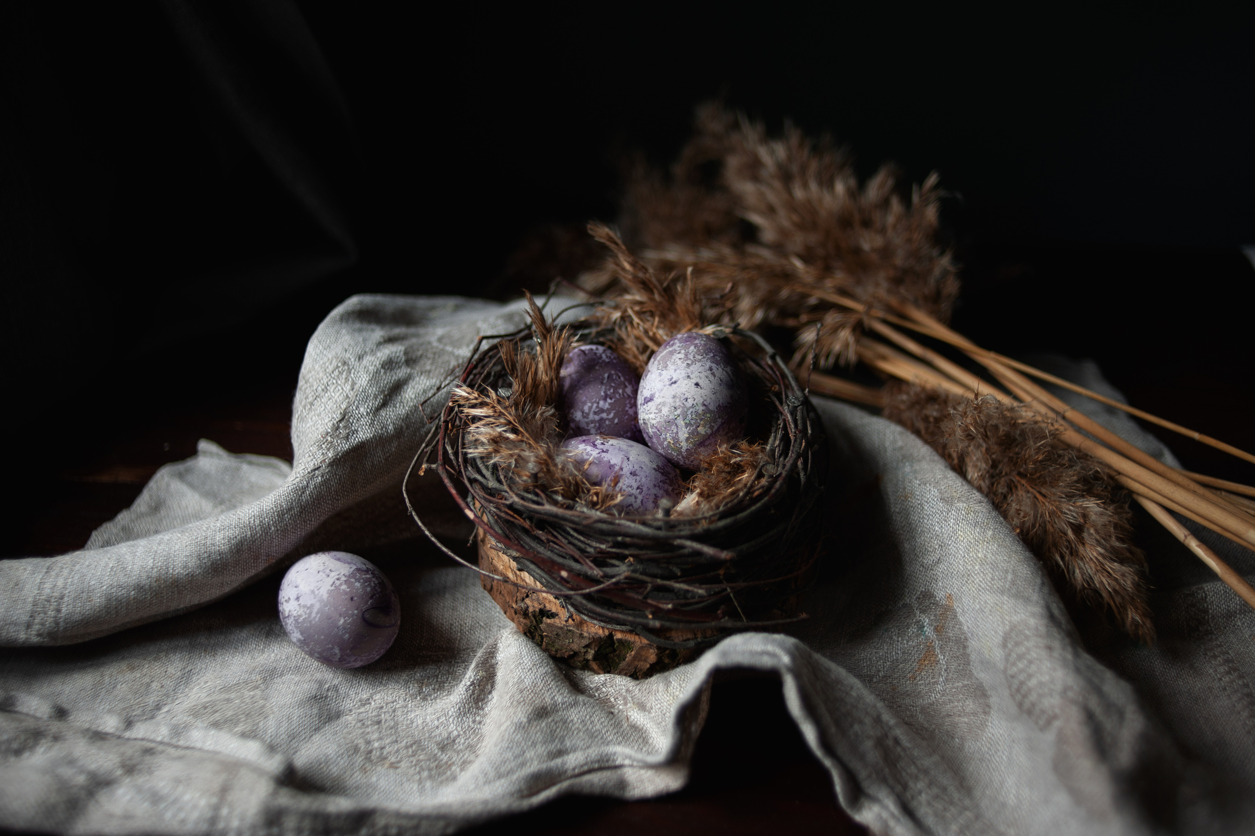 Предметы. Ваш семейный фотограф
