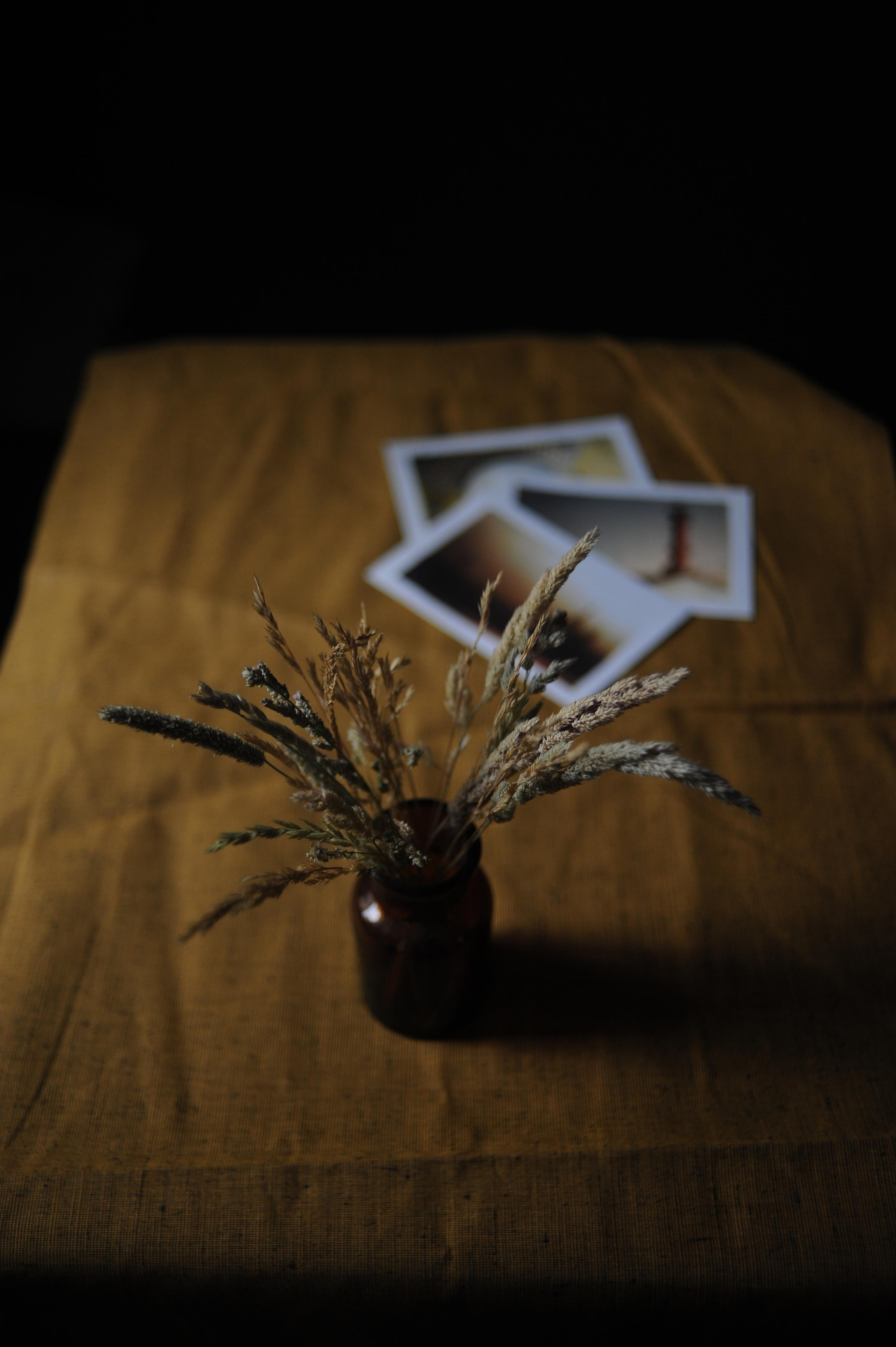 Предметы. Ваш семейный фотограф