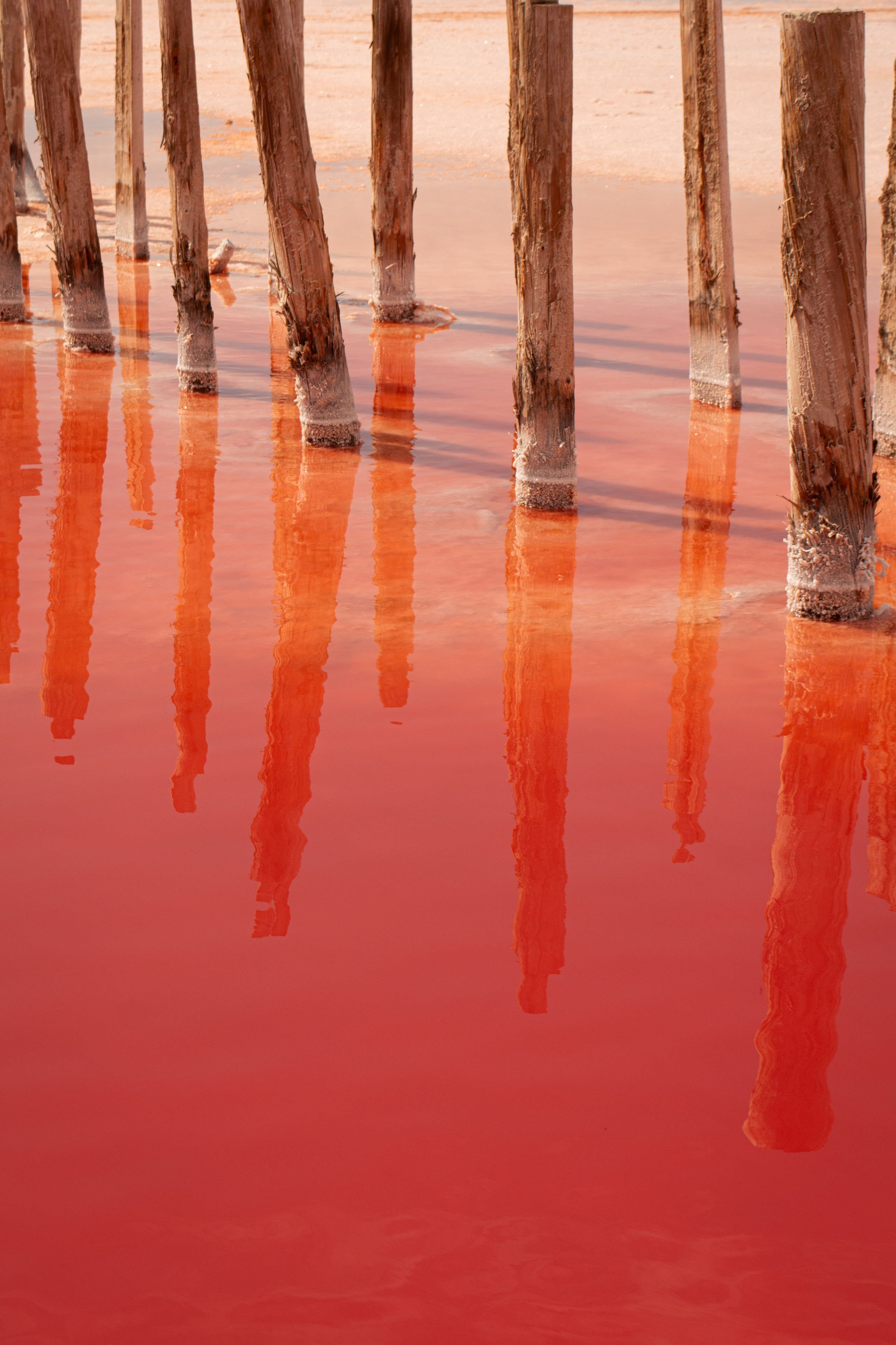 Полотна на заказ. Степан Александрович | Фотограф | Санкт-Петербург