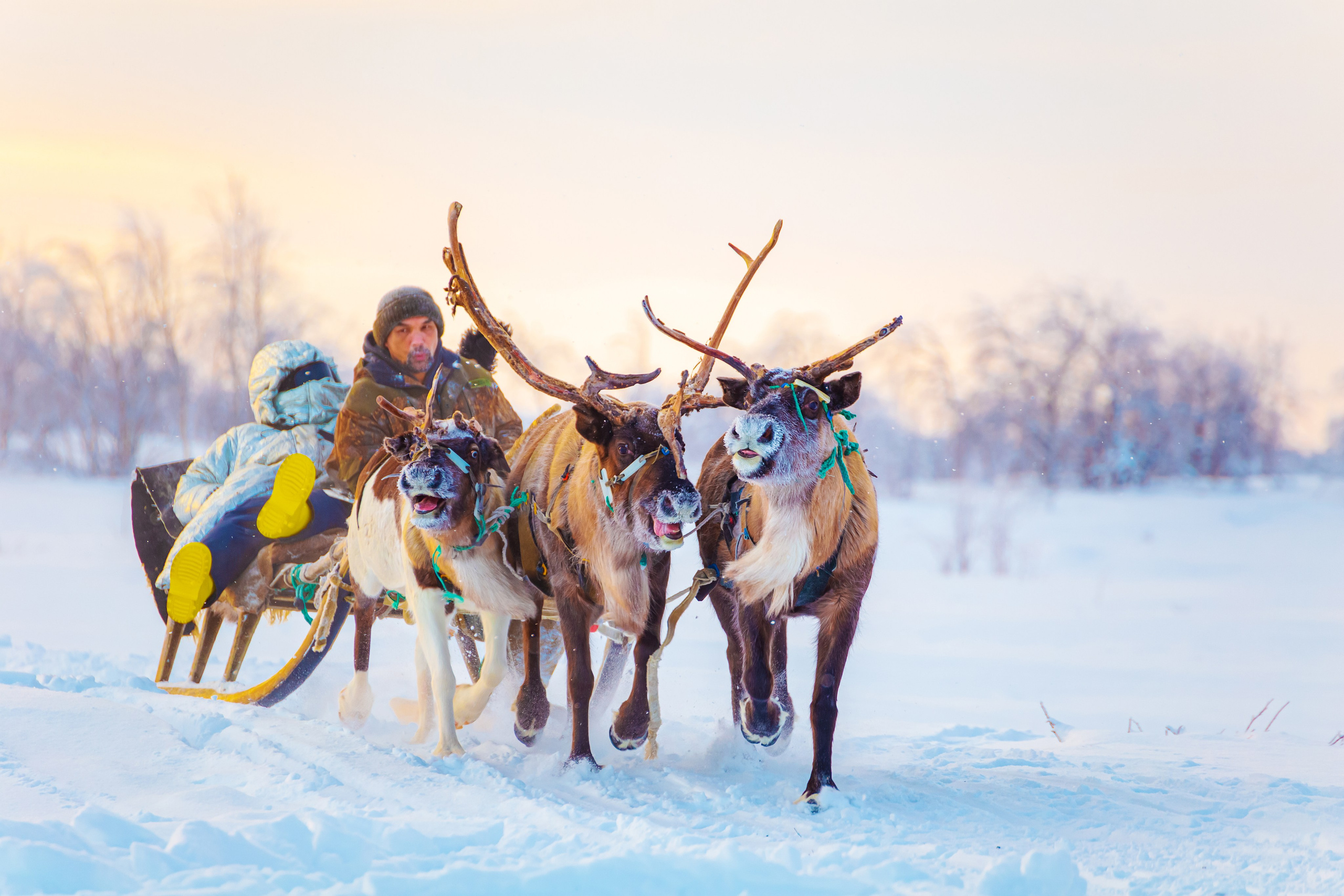 Ненецкий автономный округ. Тревел-фотограф Елизавета Ларионова