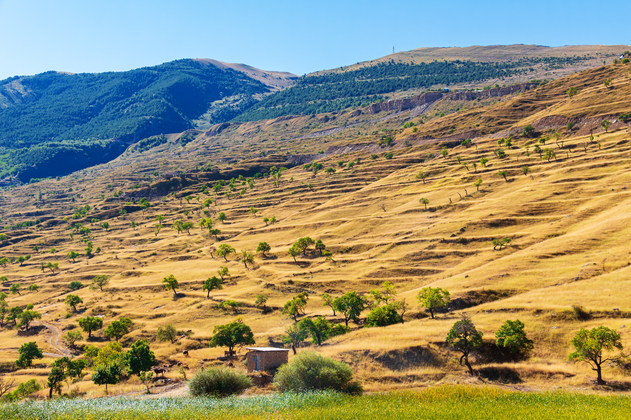 Дагестан. Тревел-фотограф Елизавета Ларионова