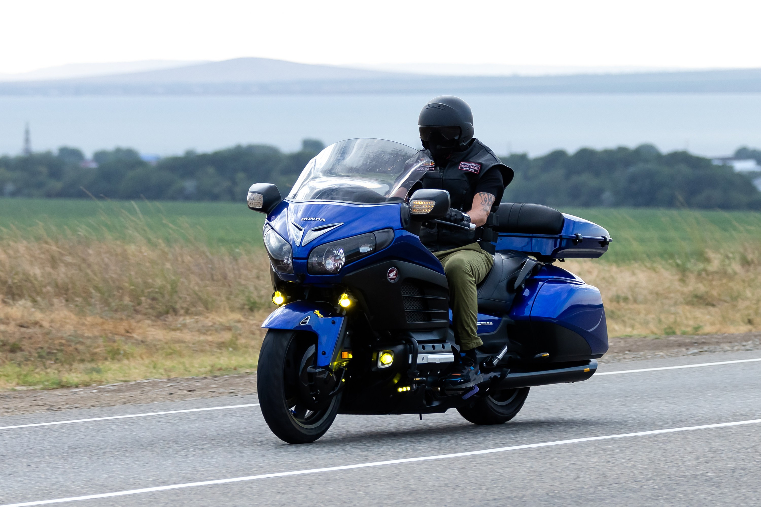 Южное мини-сафари в Тамани. Июль 2024. Фотограф Владимир Охрименко