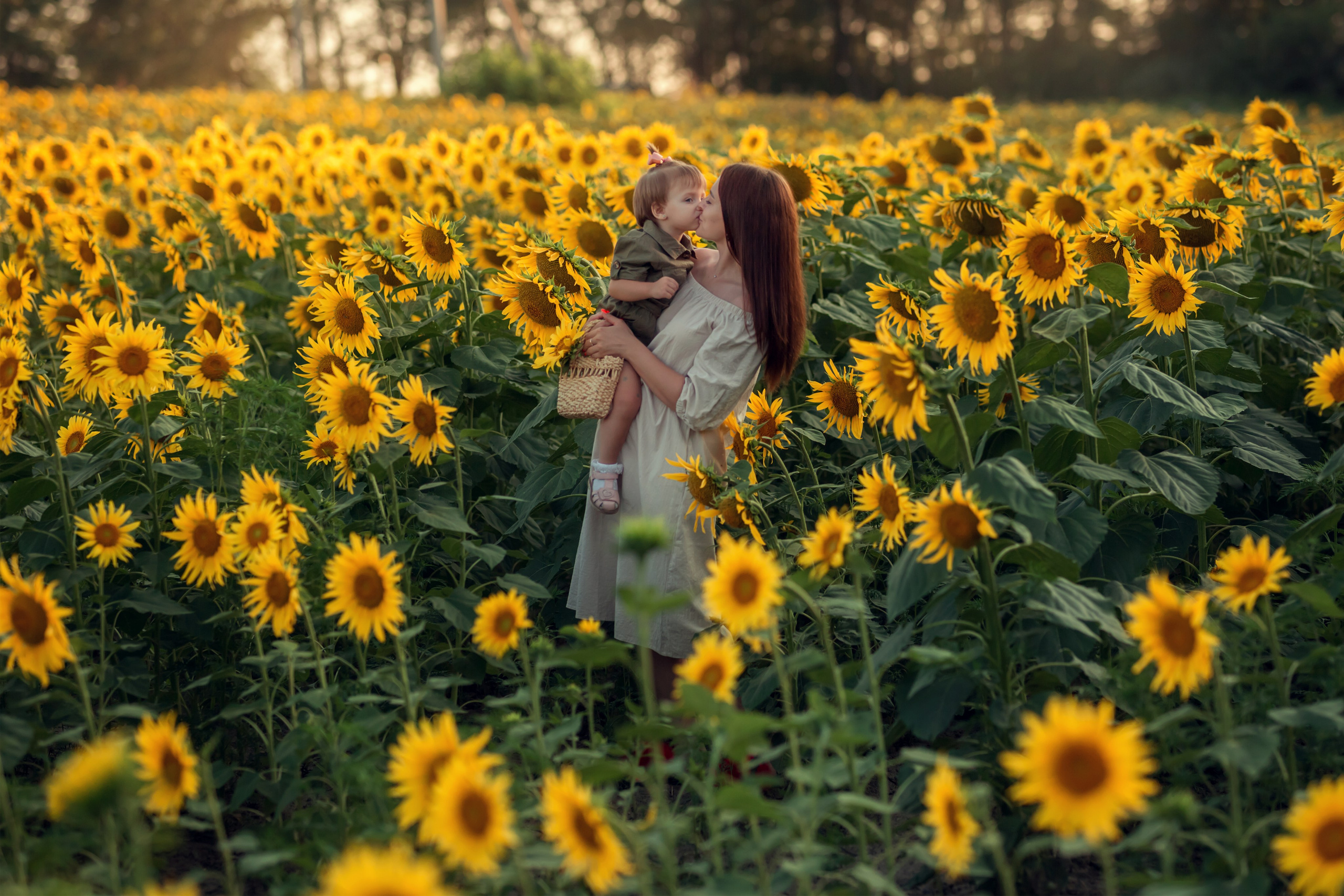 Подсолнухи. Семейный и детский фотограф Екатерина Савёлова