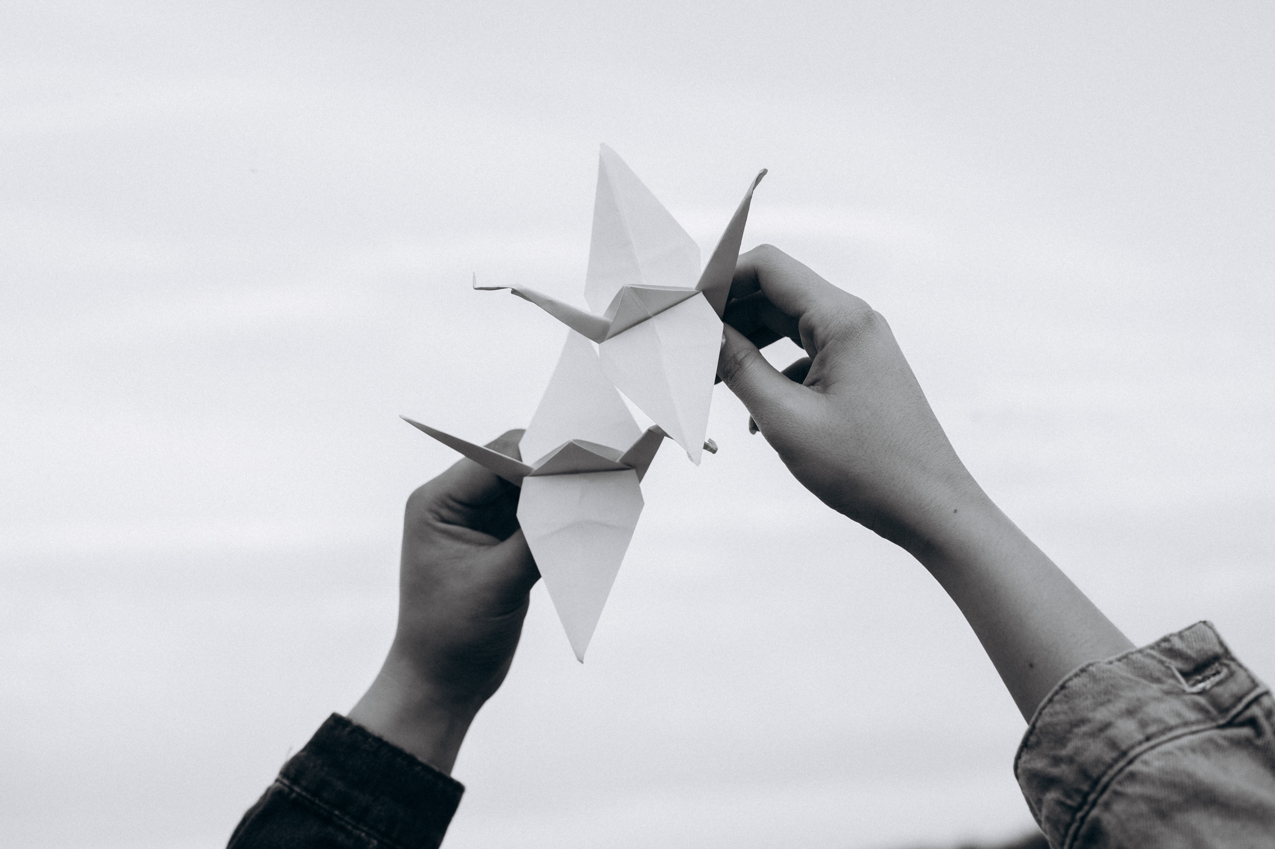 Janibek&Juldyz. ГЛАВНАЯ